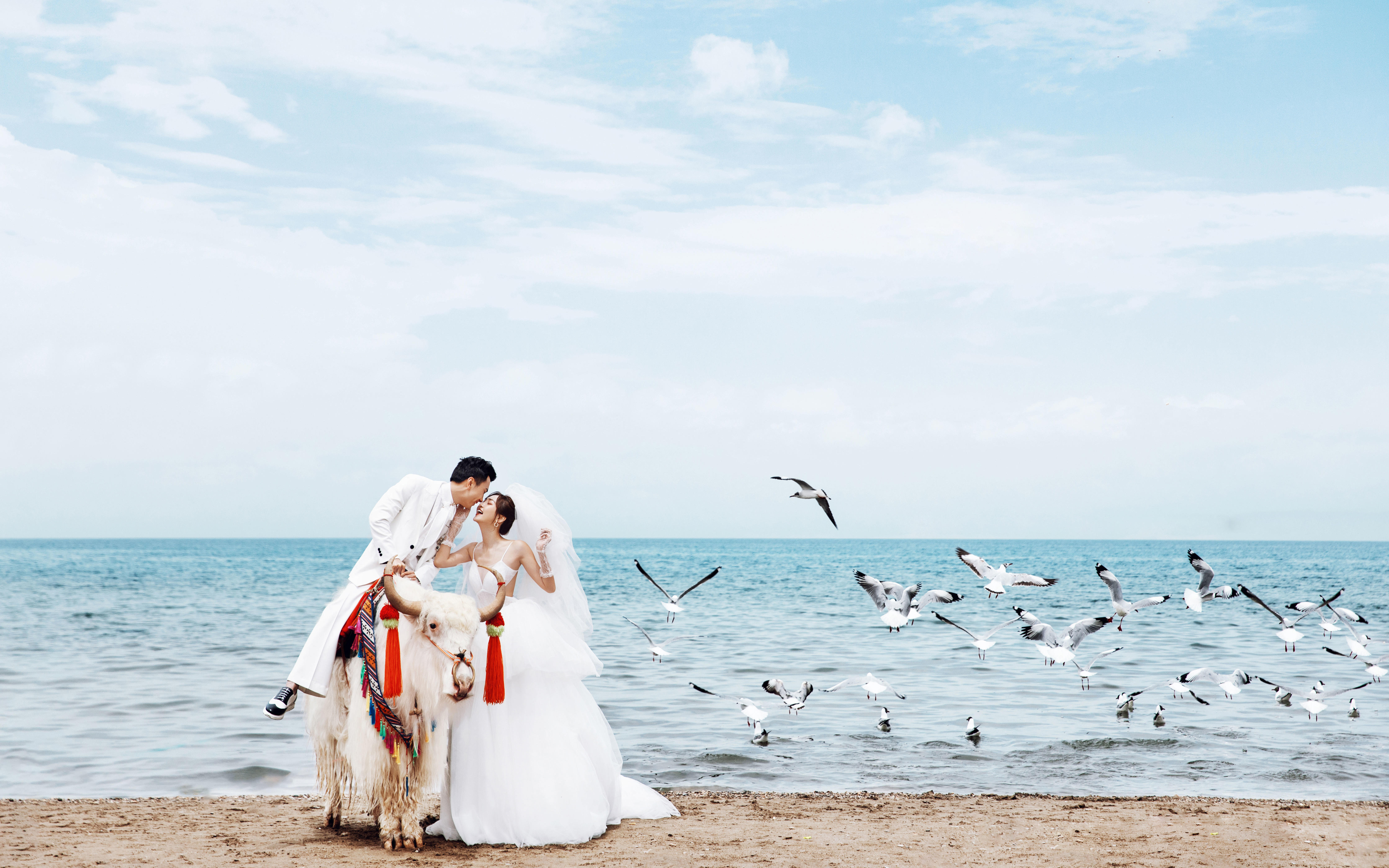 「打卡网红青海」天空之境茶卡盐湖  轻奢旅拍