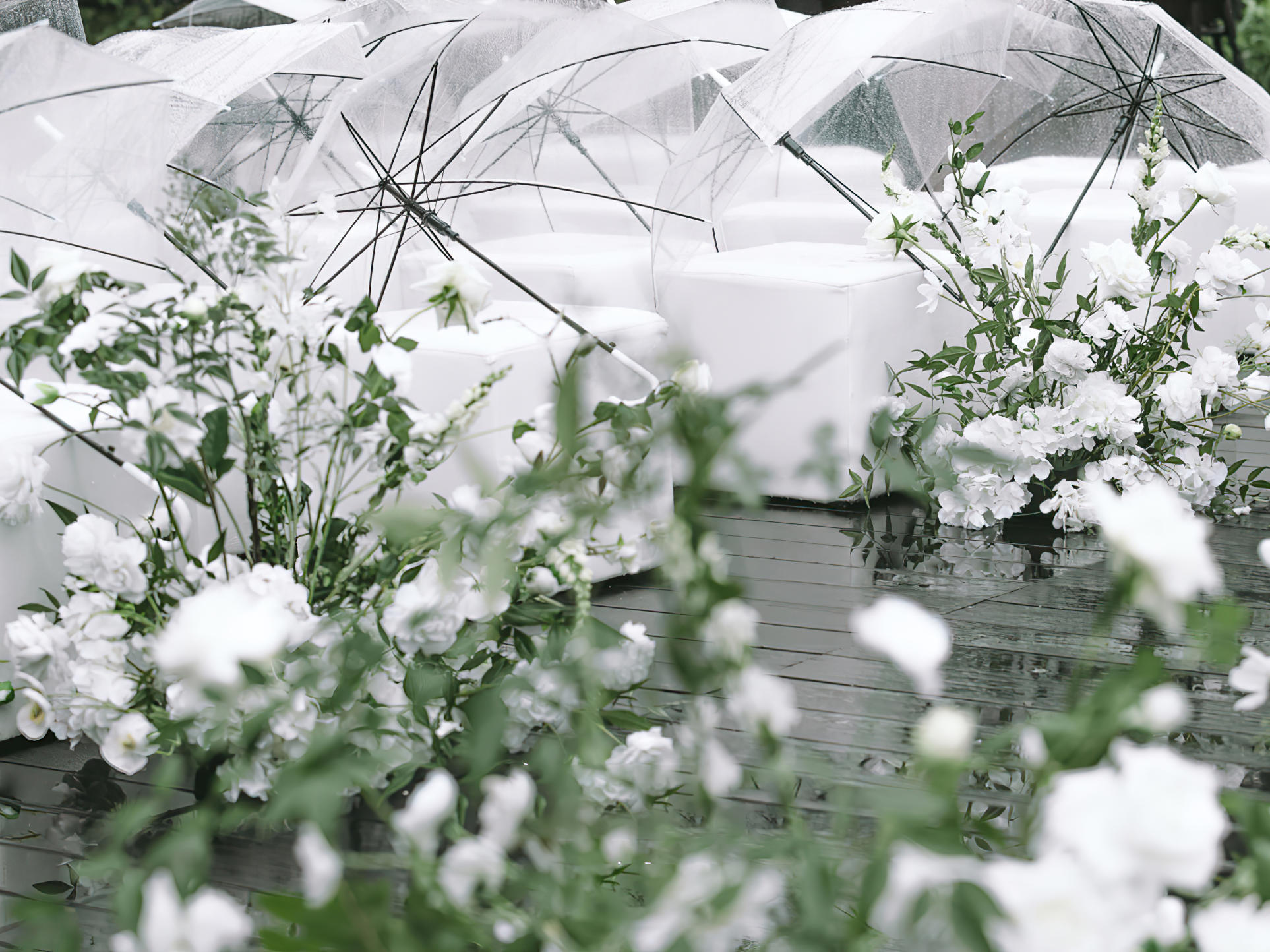 【菲林婚礼】户外白绿色简白风