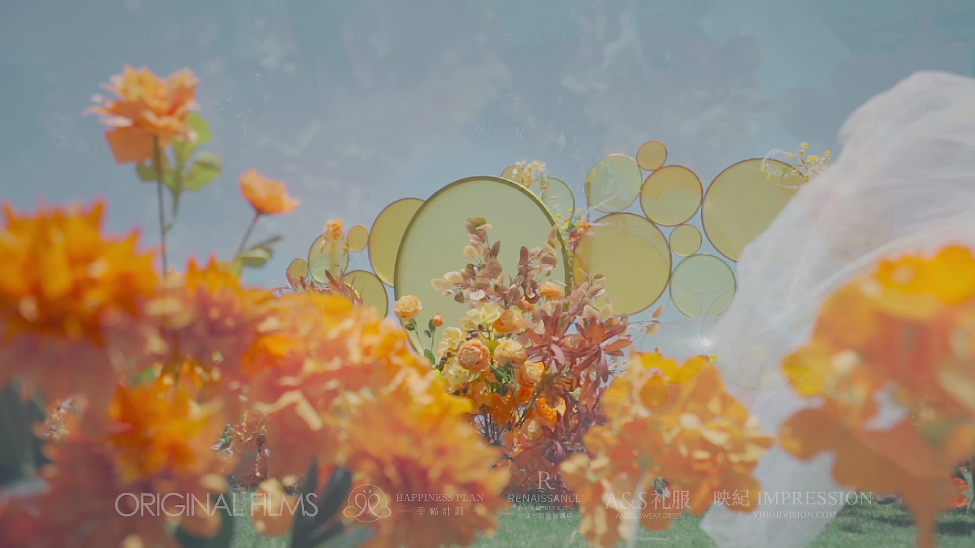 【秋の物语】草坪婚礼+婚礼布置+五大金刚+婚纱