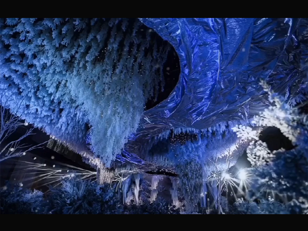 【2021超火爆浪漫星空婚礼 】【晓东婚礼爆款】