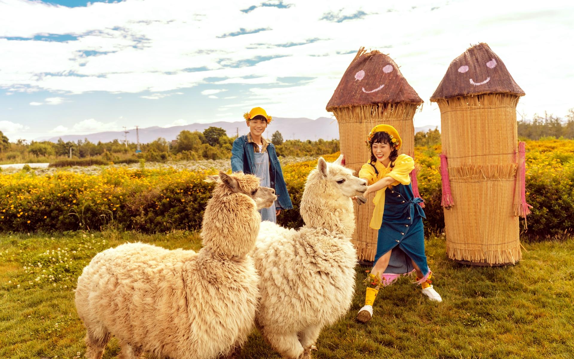 【大理旅拍】爆款高定套系/旅拍婚纱照