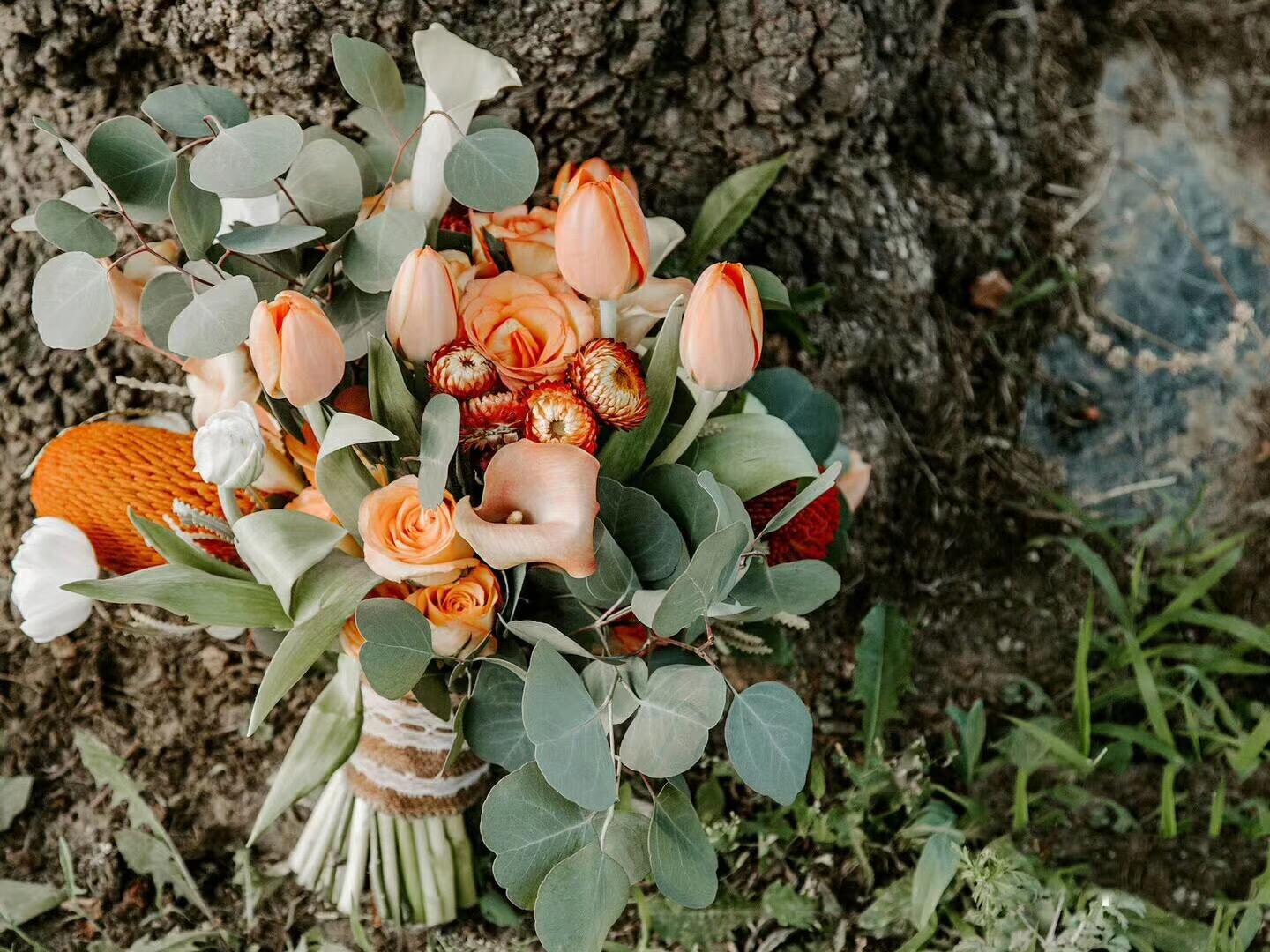 乔克叔叔仲秋糖果清新草坪【中小型精选】赠合影区