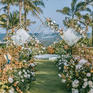 【不朽·婚礼】森系夏威夷风情户外婚礼 含甜品