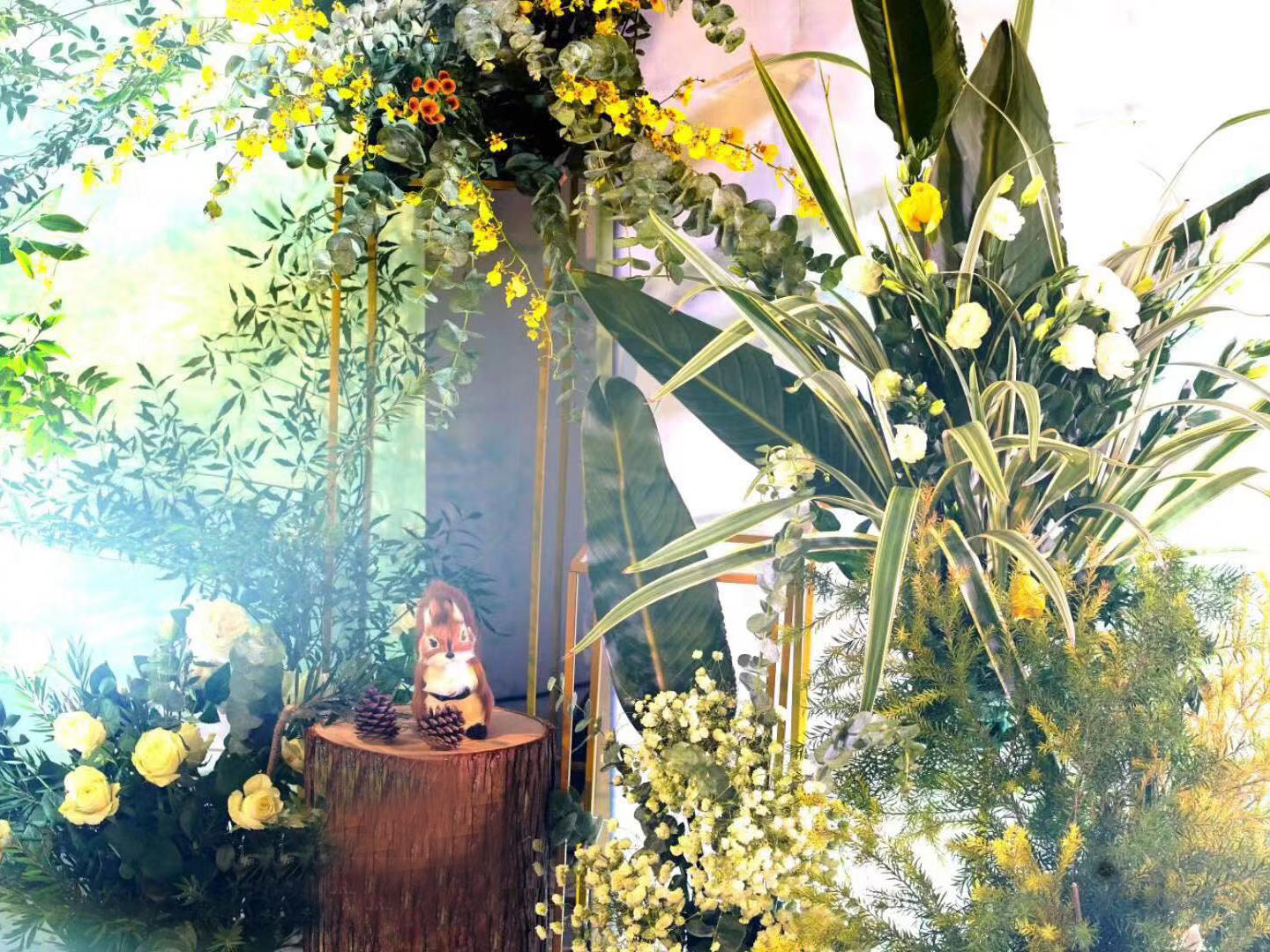 走进这片被月光笼罩的森林