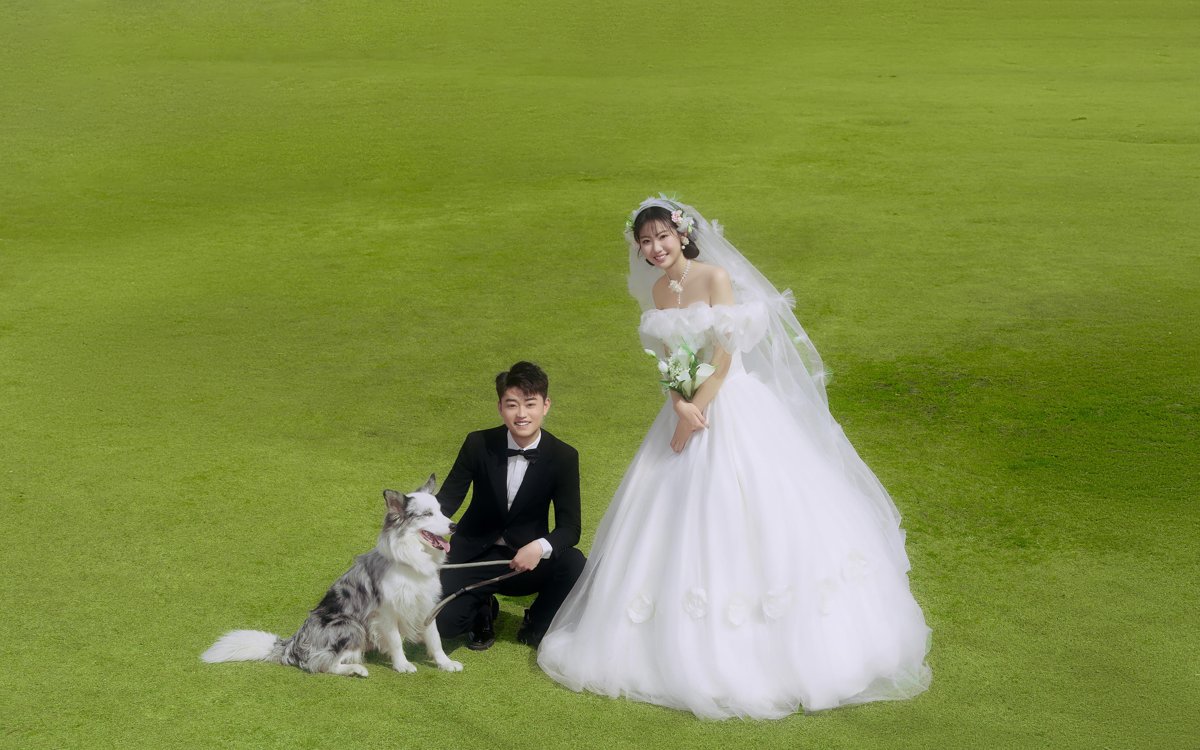 南陽草坪婚紗照