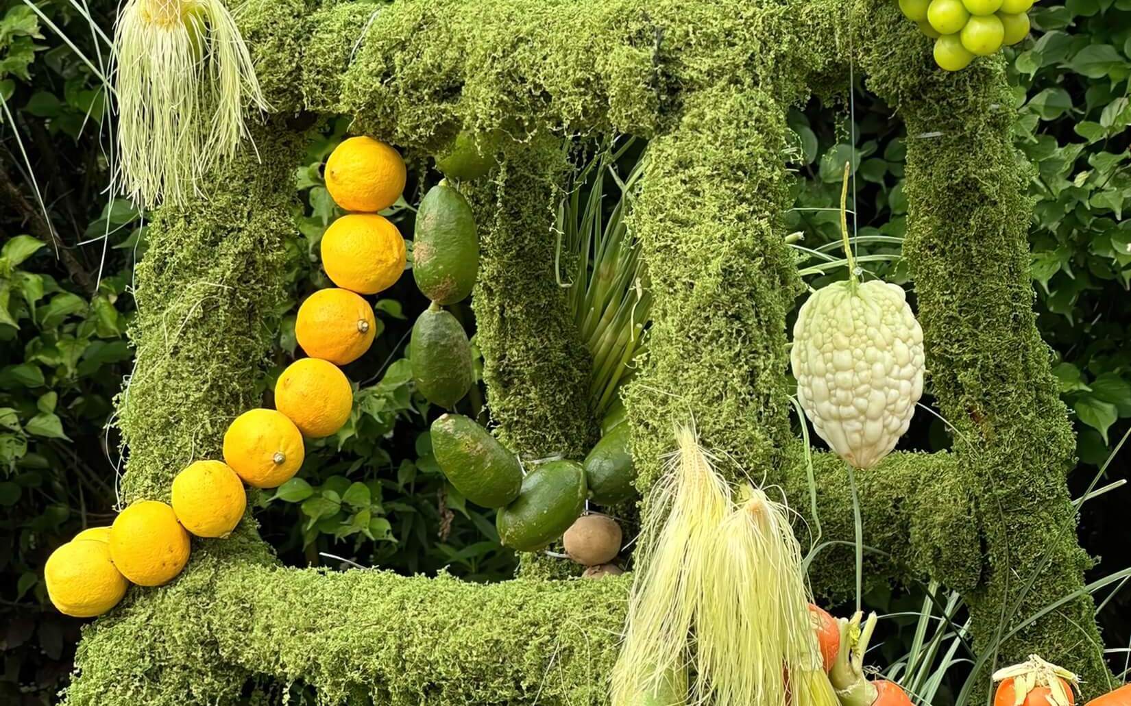 【緣夢閣】\野生綠植果蔬風迎賓區(qū)婚禮