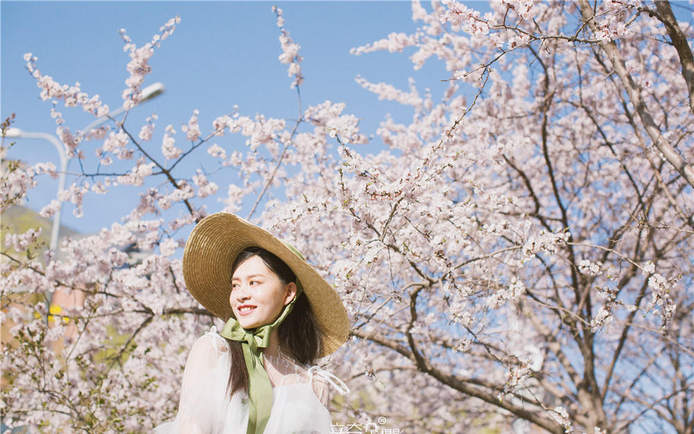 <辛奇朵>2019最新作品—写真