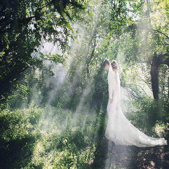 梦幻森林【8090婚礼会馆】