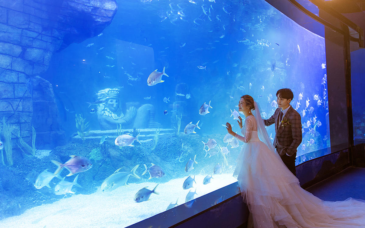 双日高端定制-底片全送，服装全场任选