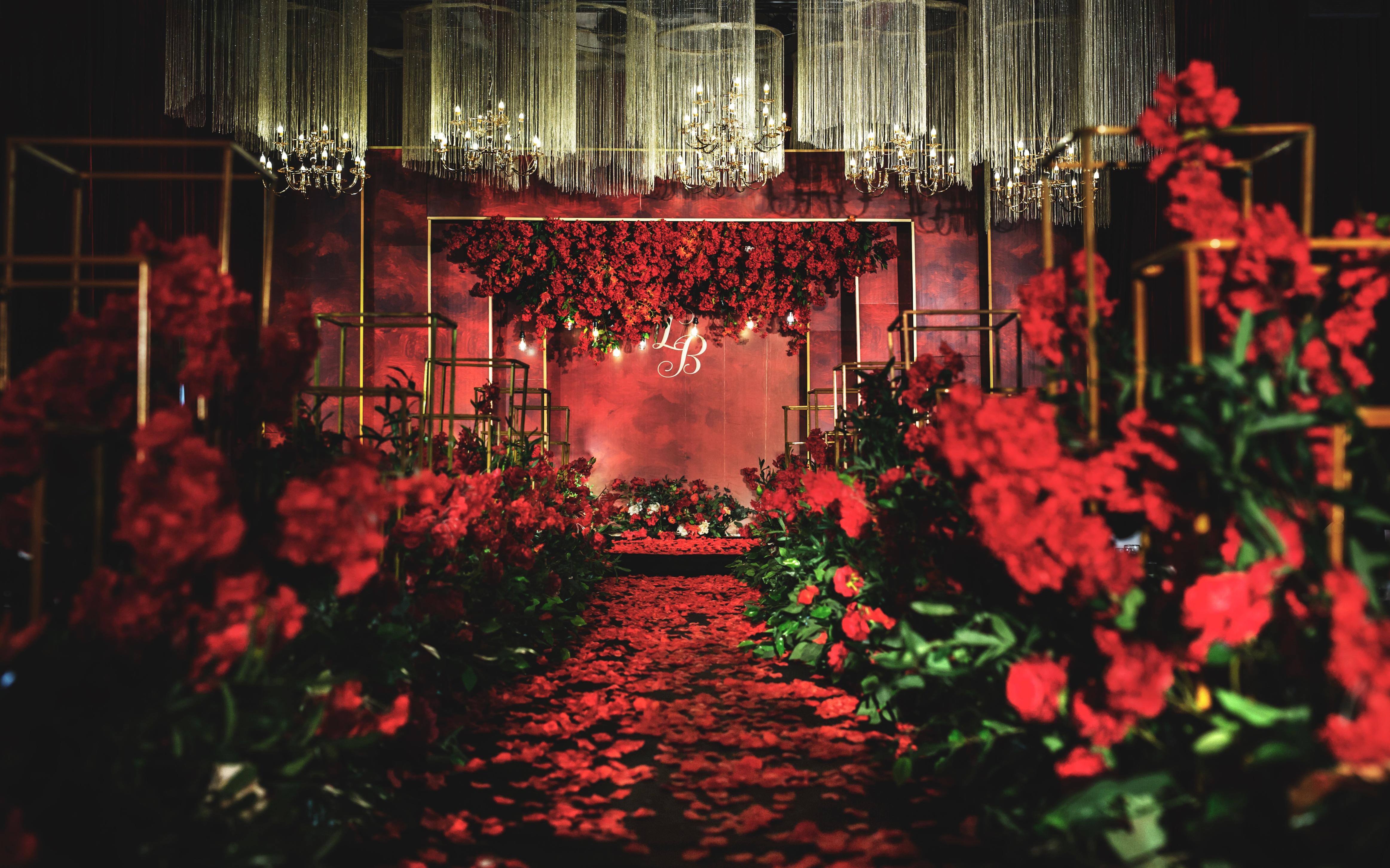 红金色系《姗姗来迟的你》