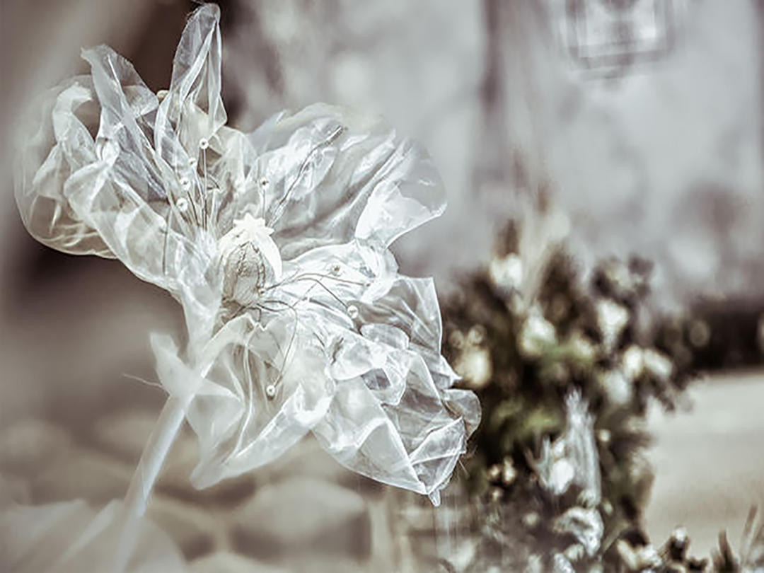 【LUCYK TO MEET】经典室内森系白色简