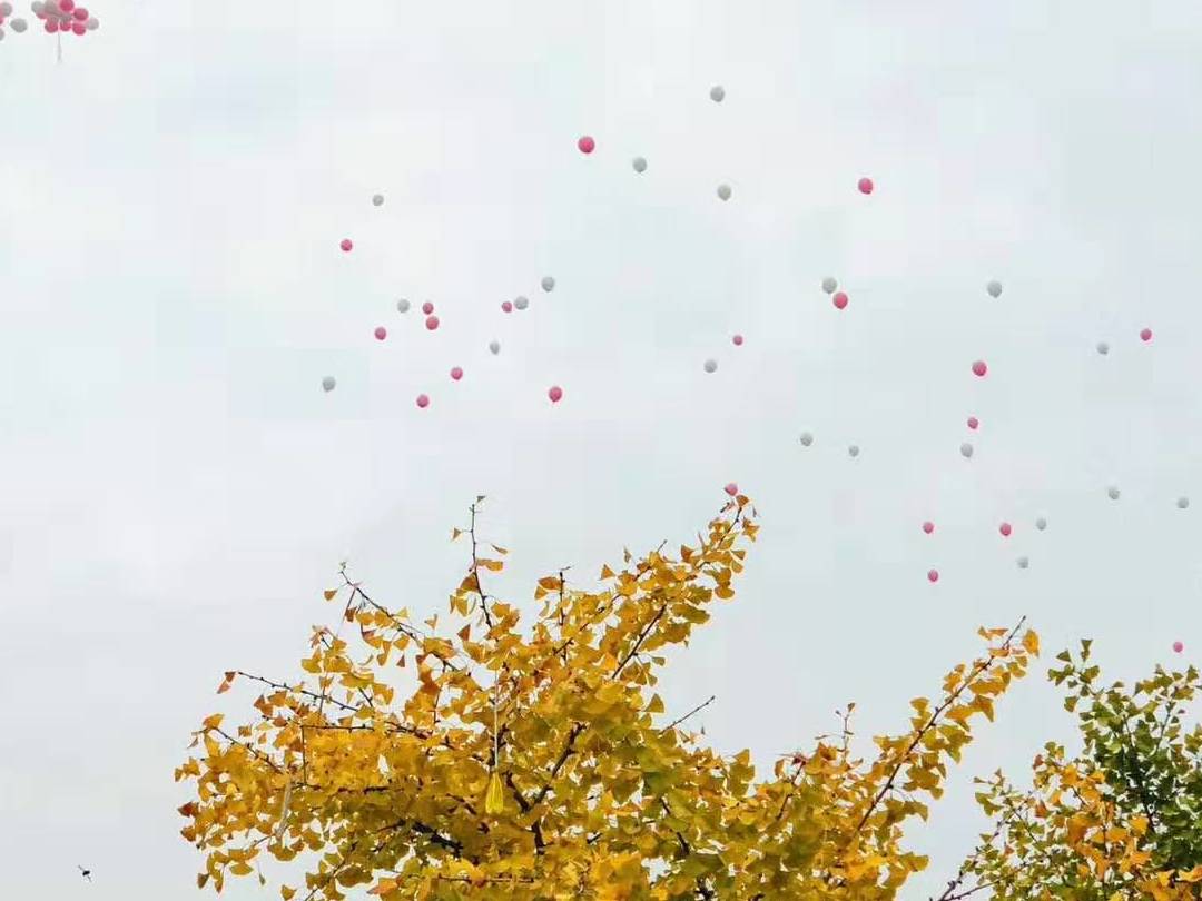 草坪婚礼 简约轻松风格主持+配乐+DJ