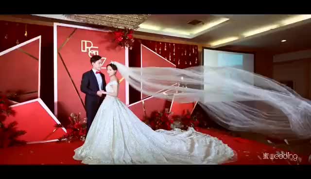 酒红色简约风、四大全含/送投影