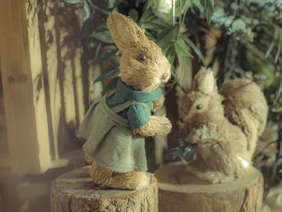 【馥悦主题婚礼】森系精灵公主 童话森林