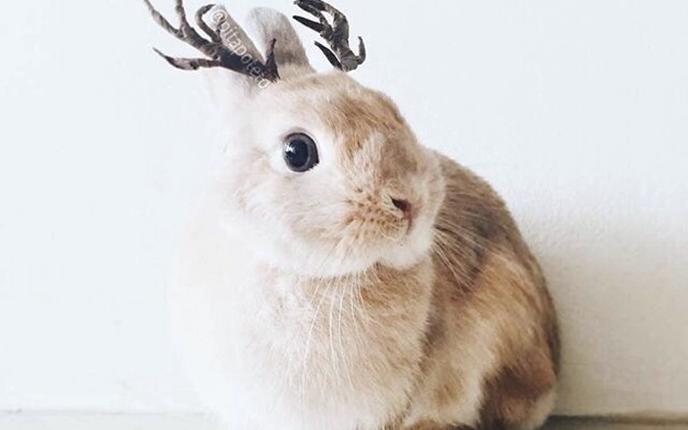 年才能才能测年才能