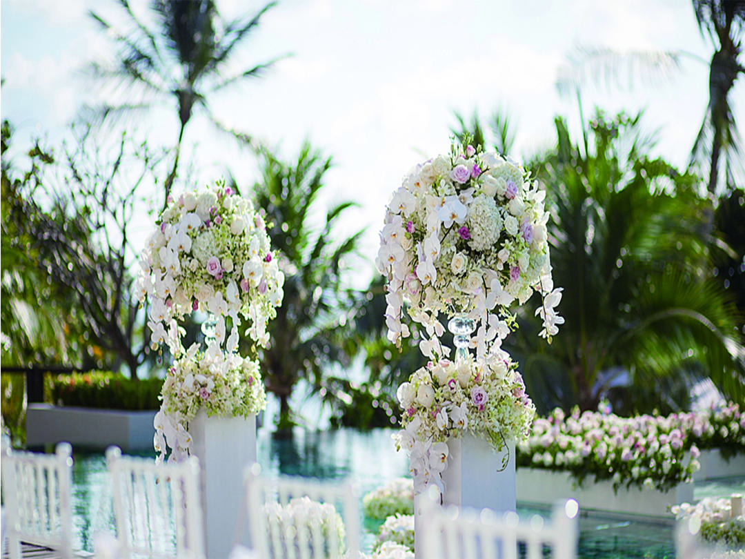 礼记— 康奈德(水台-沙滩-草坪-平台)