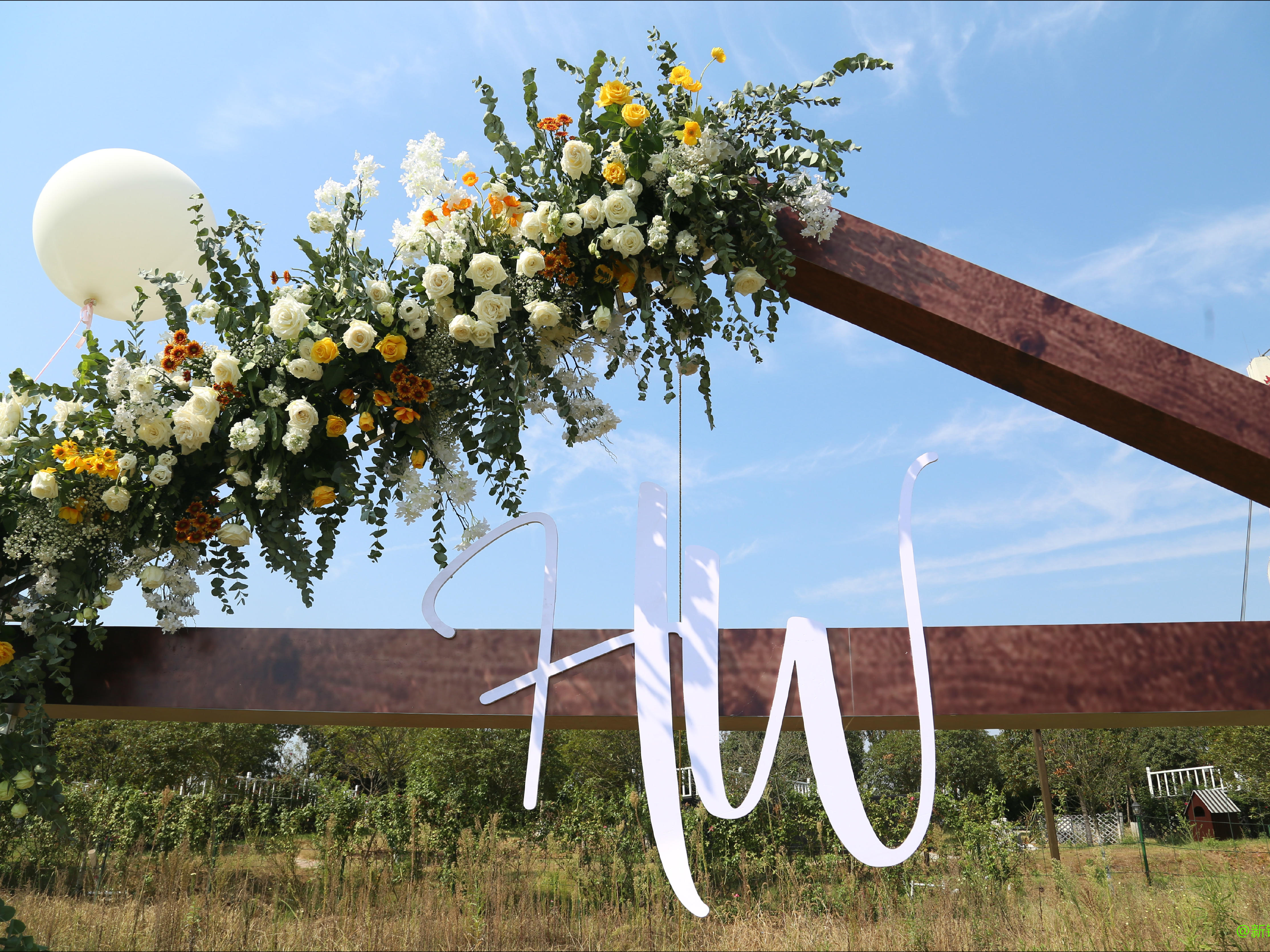 草坪婚礼、互动强、【限量特售】