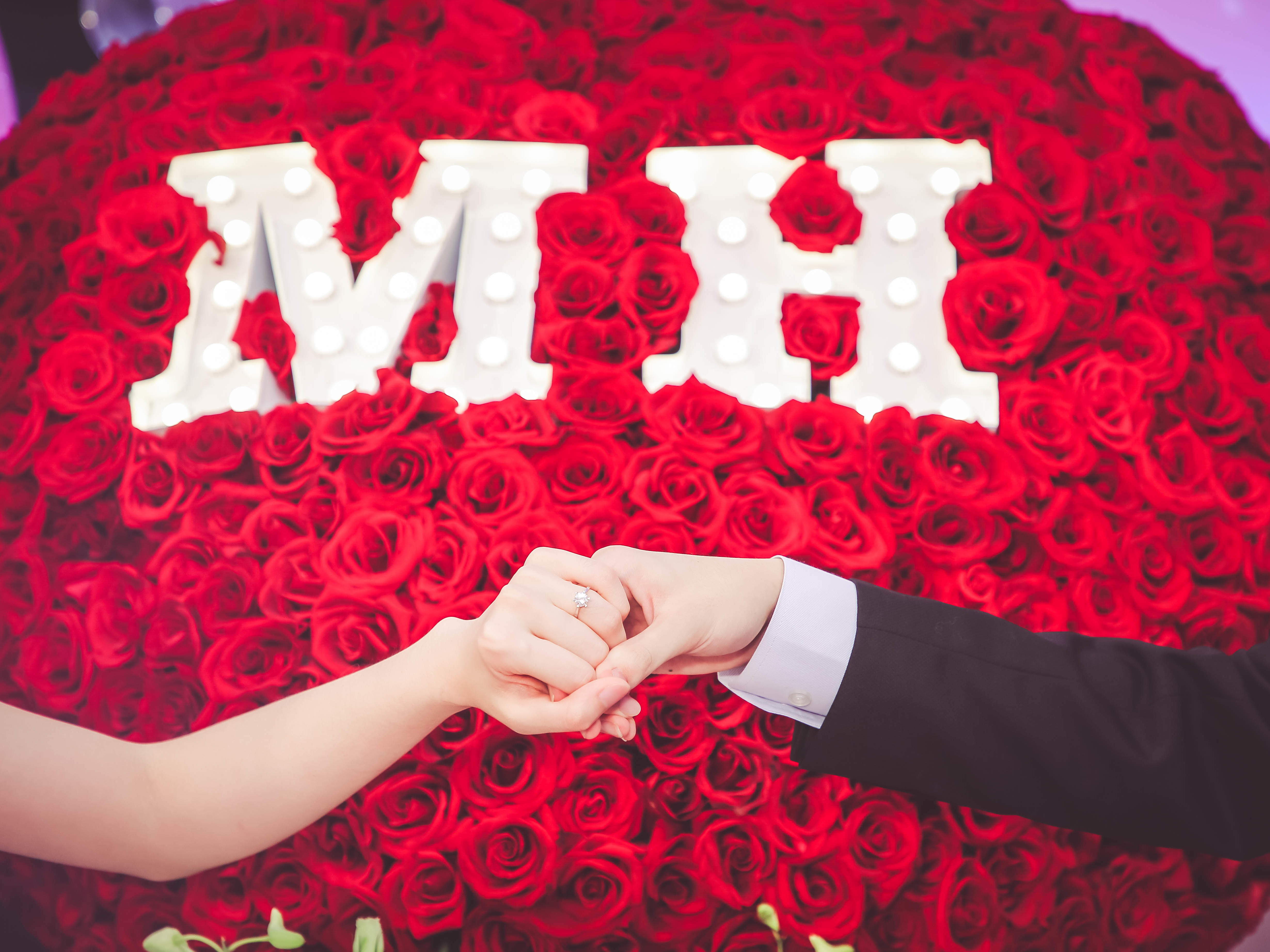 宠物咖啡馆求婚 爱猫人士的专属浪漫