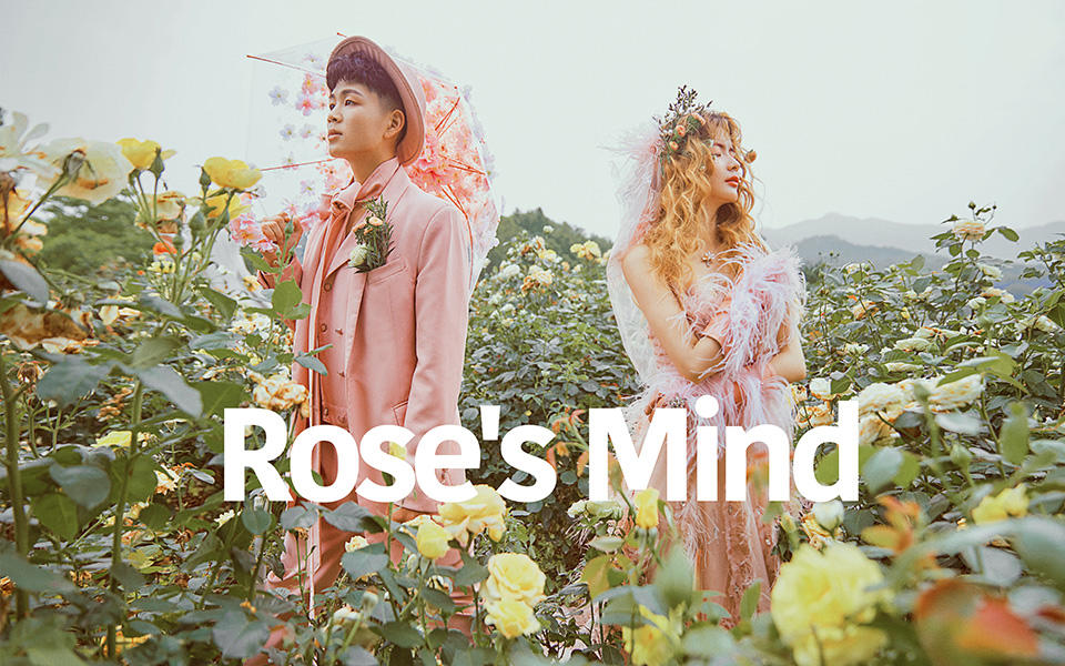 【明星】定制  高端  私定