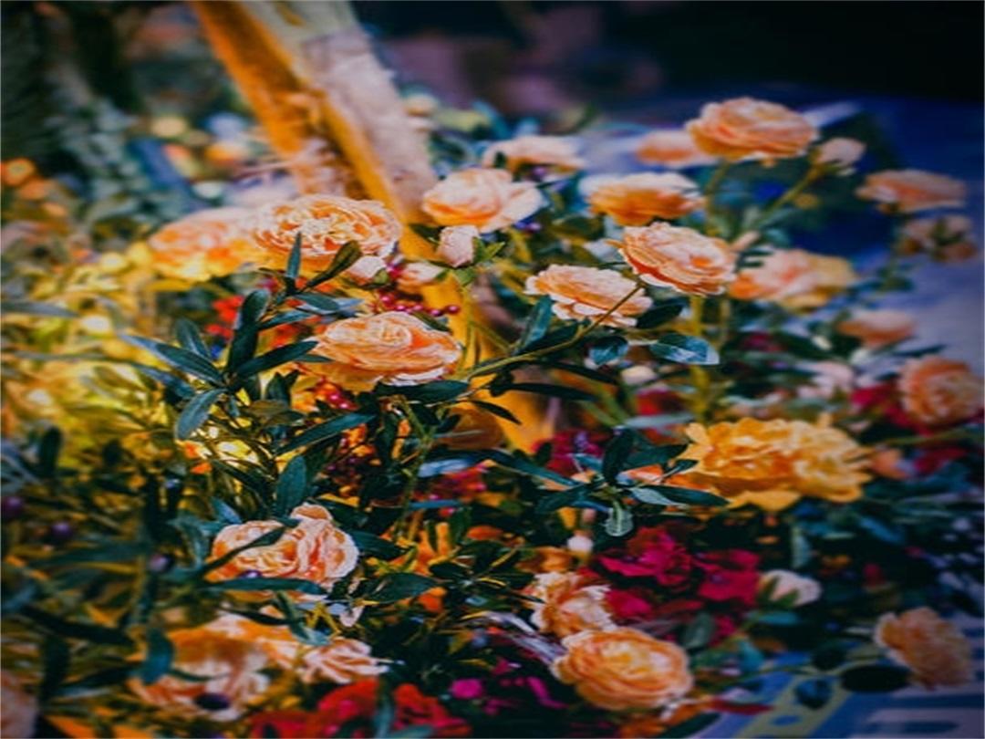 逢双婚礼定制 《复古波西米亚风婚礼》