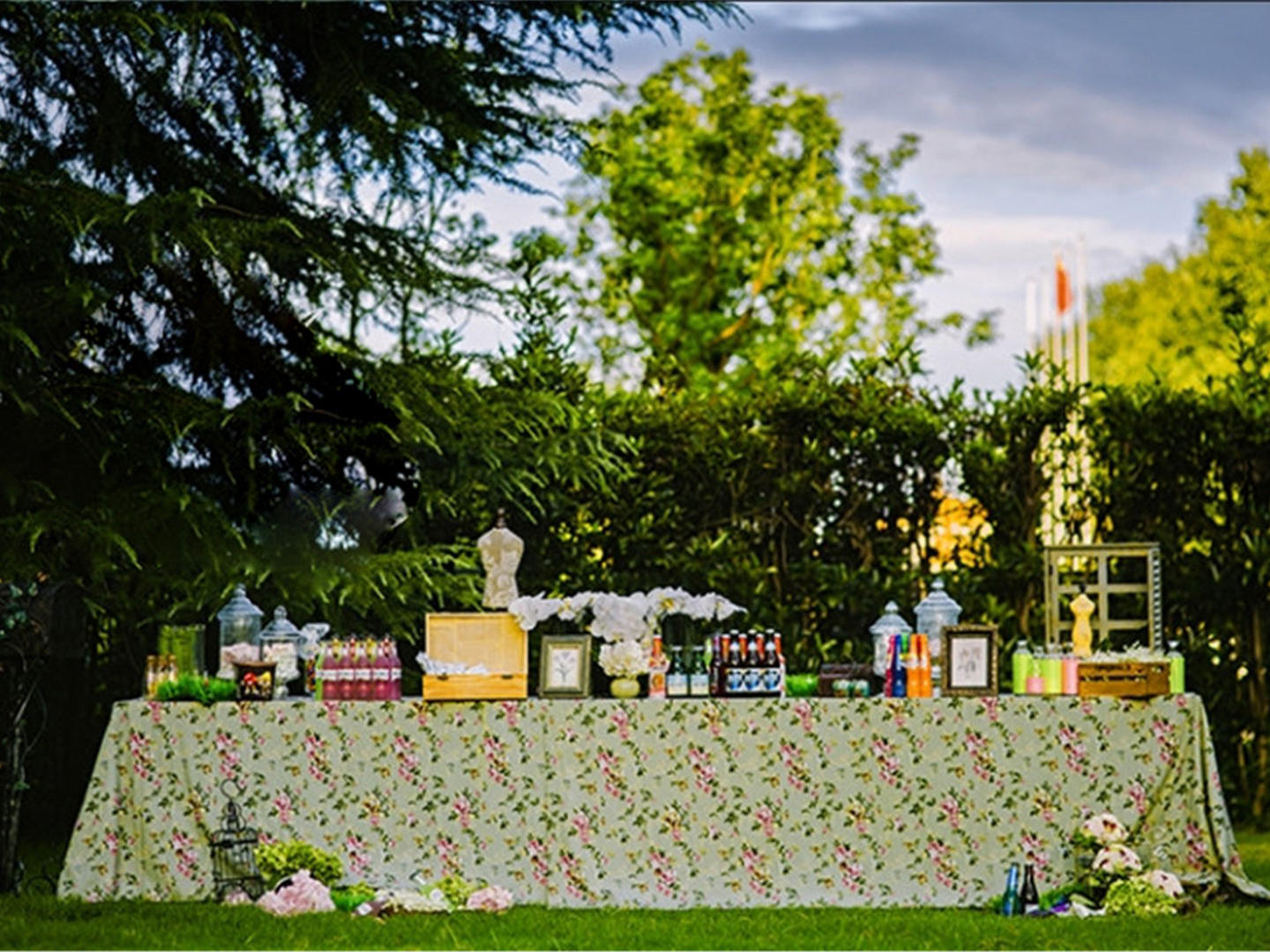 【左一知道】你愿意嫁给我吗