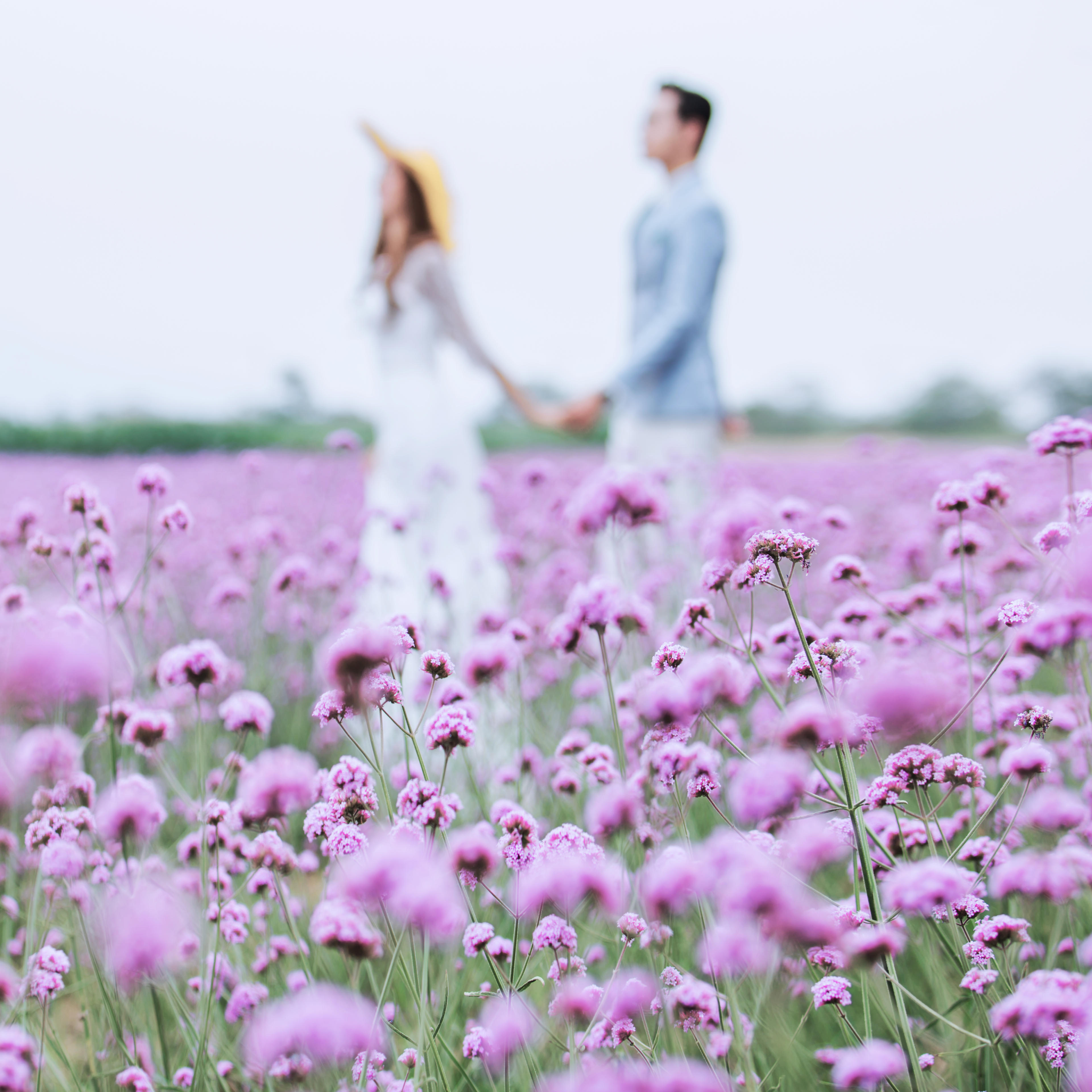 仅售2999元，价值6999微旅拍婚纱摄影