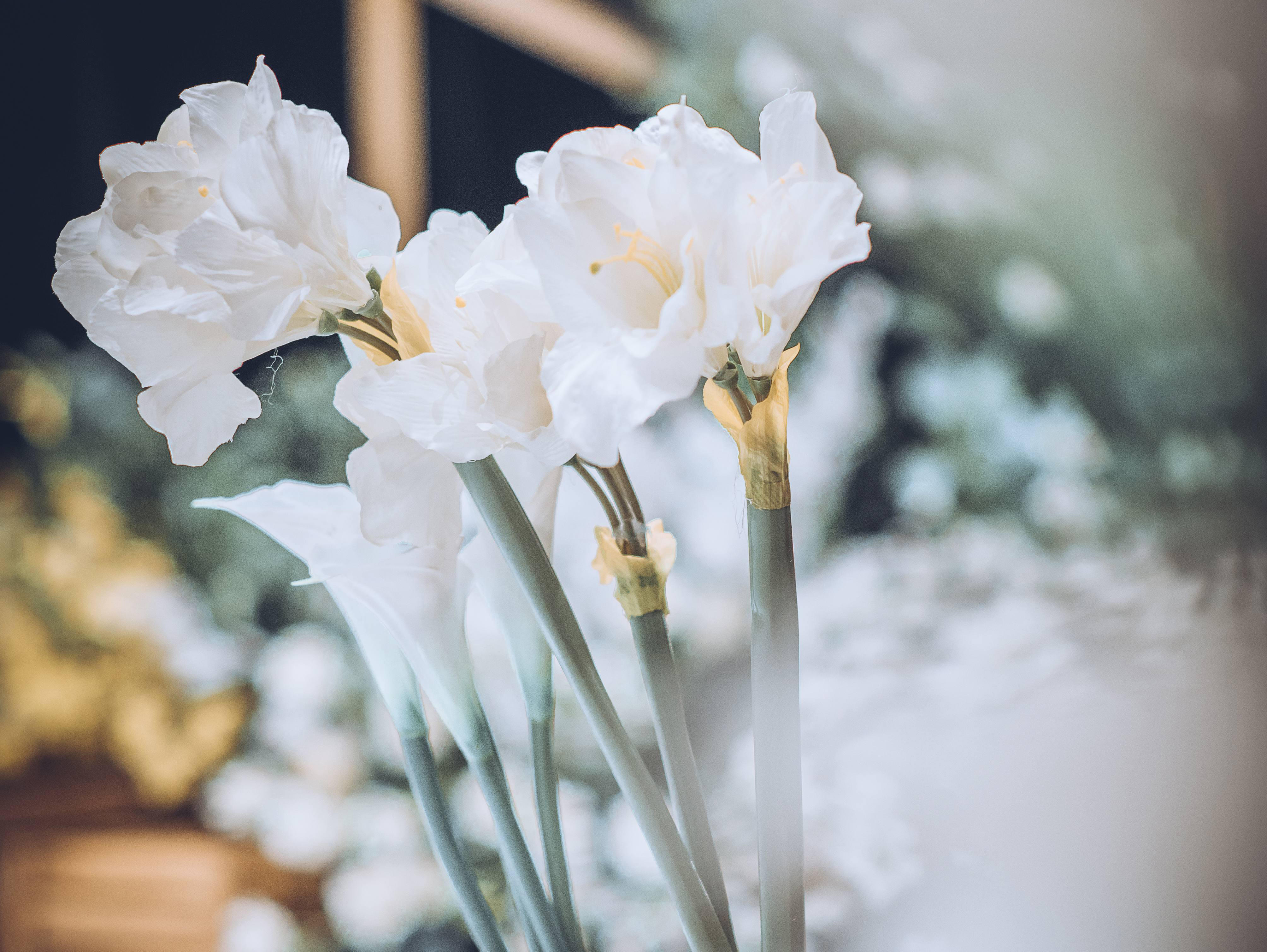 限时特惠 | 小型婚礼 | 含人员 布置