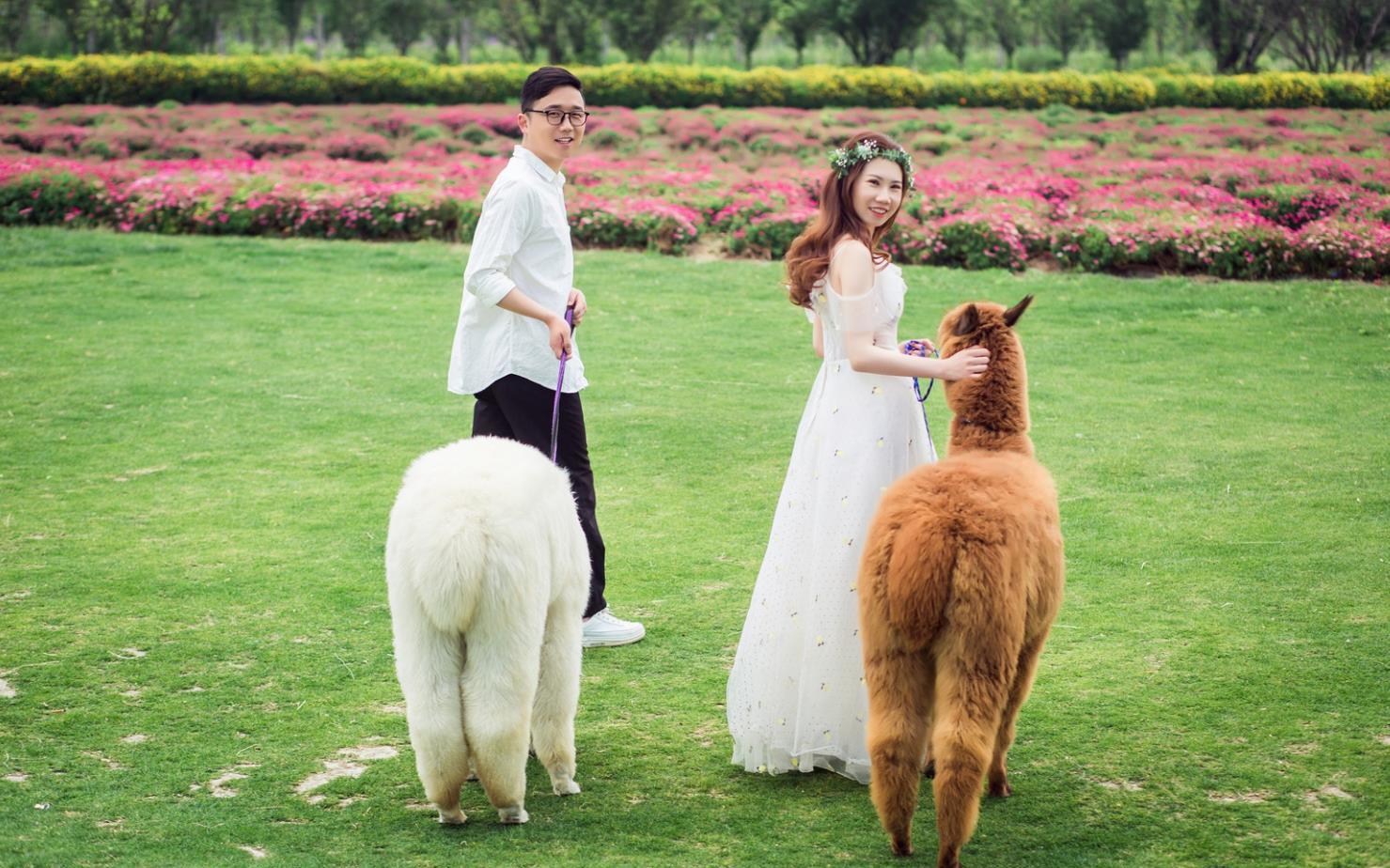 婚禮紀(jì)專屬優(yōu)惠旅拍套系C（人氣套餐）8服8造