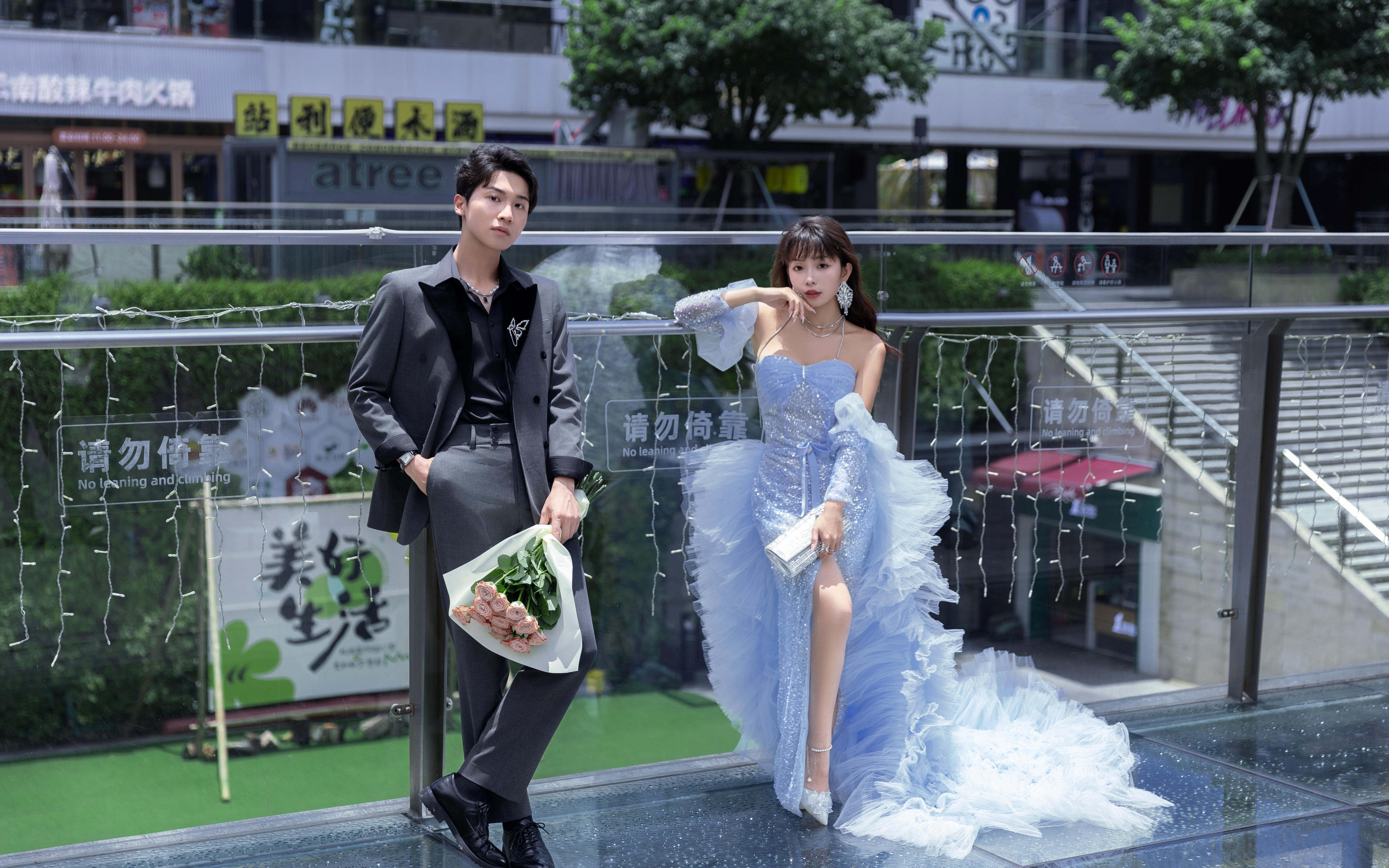 绽放玫瑰    
