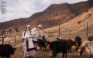 西藏拉萨旅拍婚纱照婚纱摄影—天堂草原