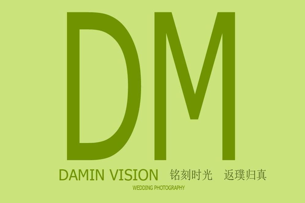 null大敏视觉DaminVision