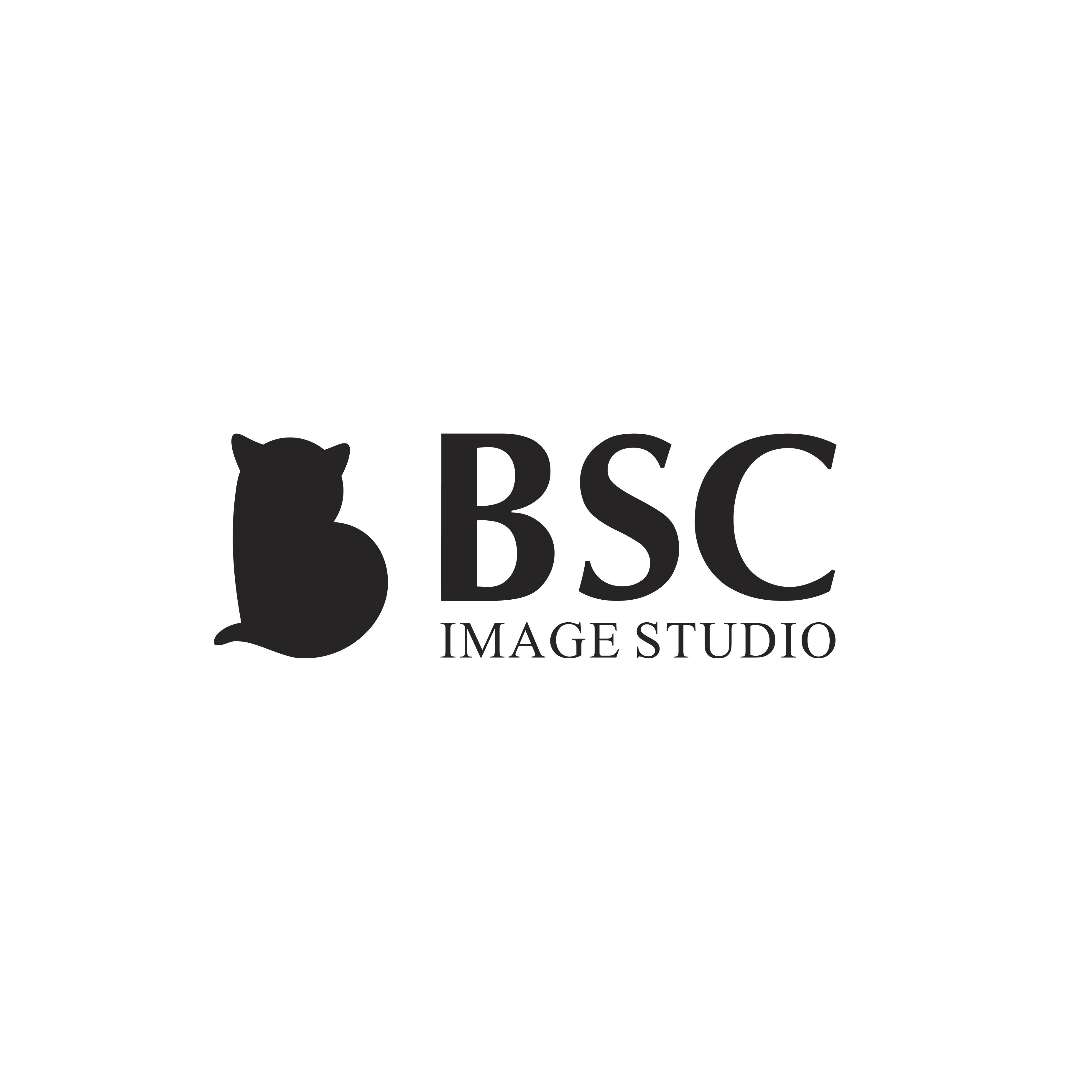 BSC IMAGE STUDIO
