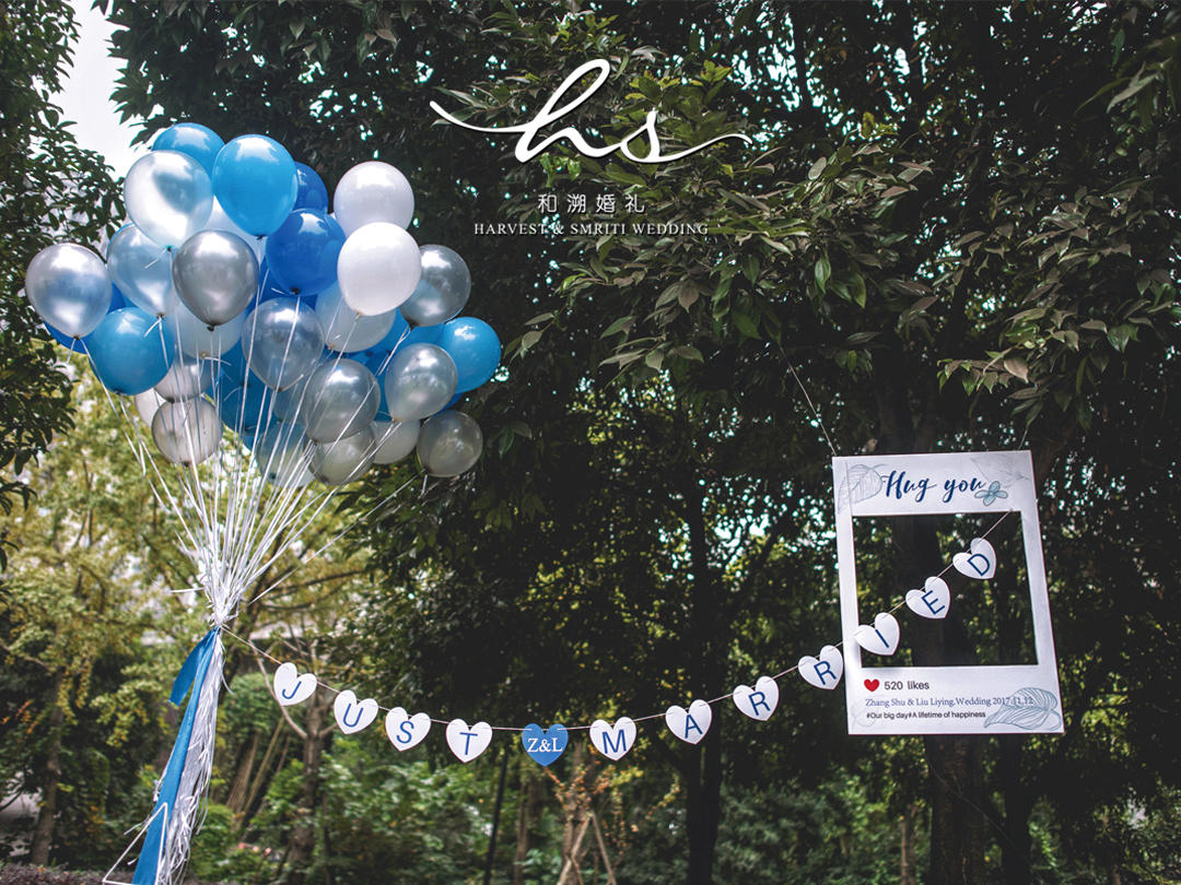 《Hug you》白蓝色小清新草坪婚礼