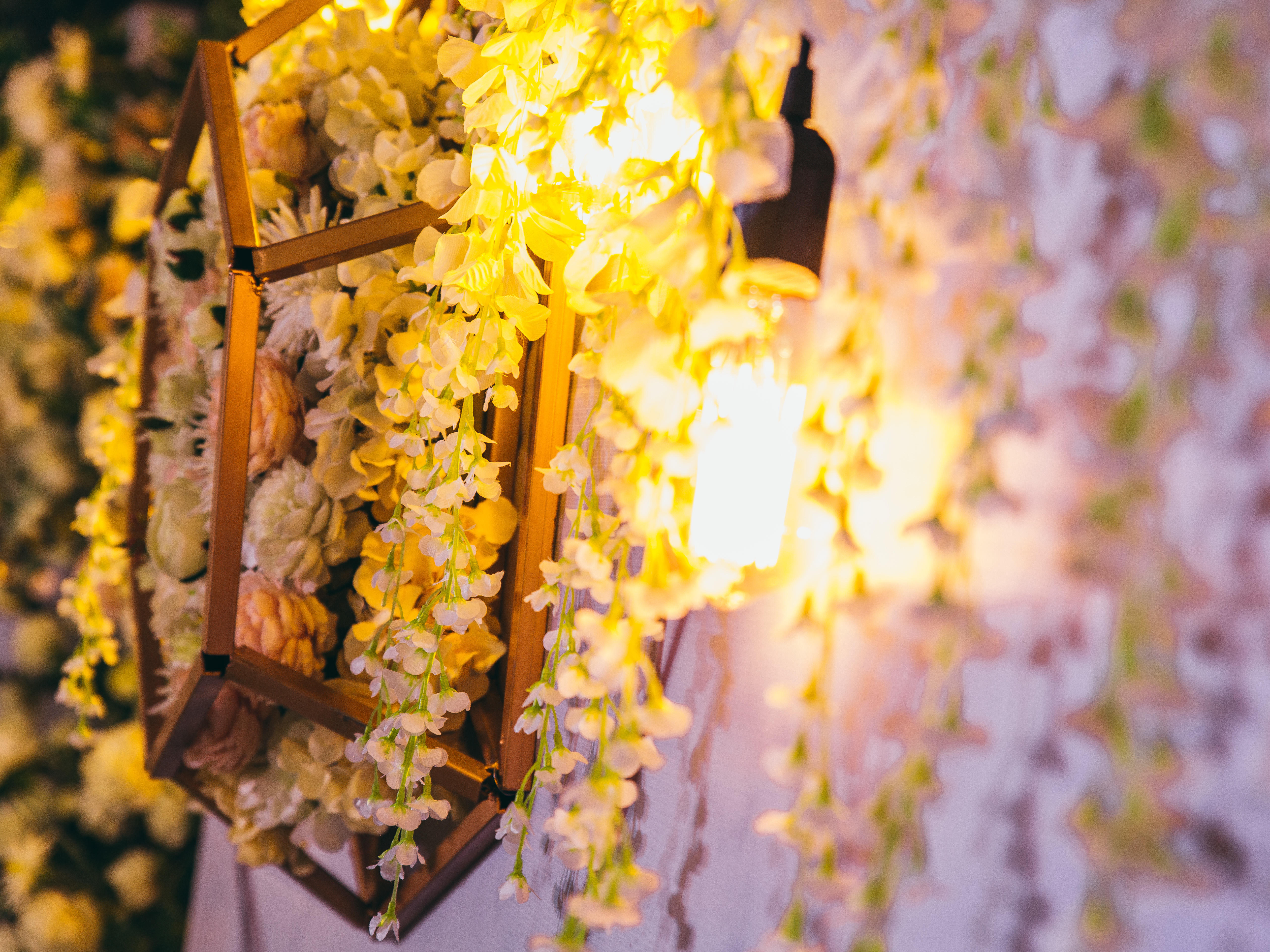 华庭卡洛琳高端定制小森系系列