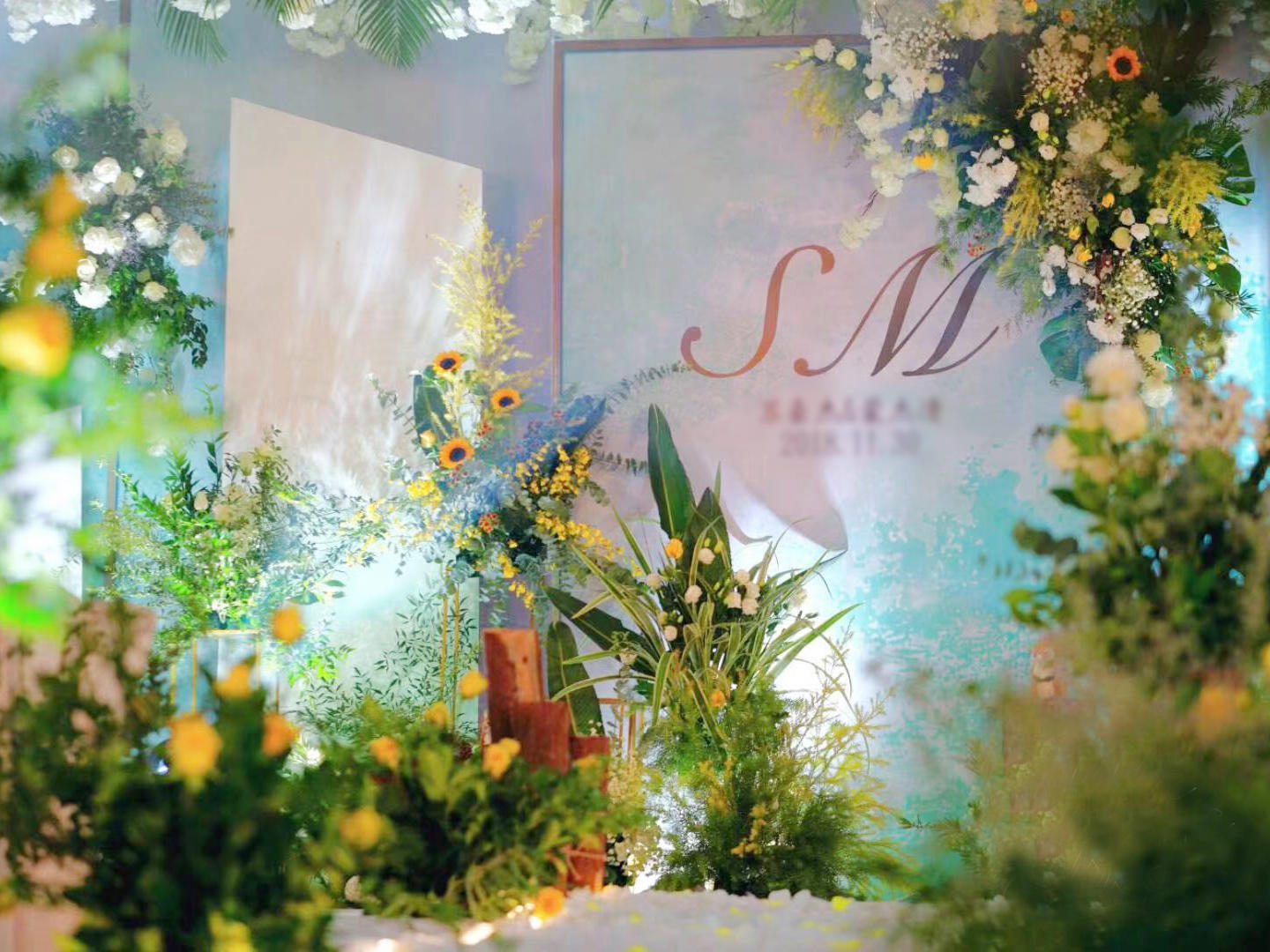 走进这片被月光笼罩的森林