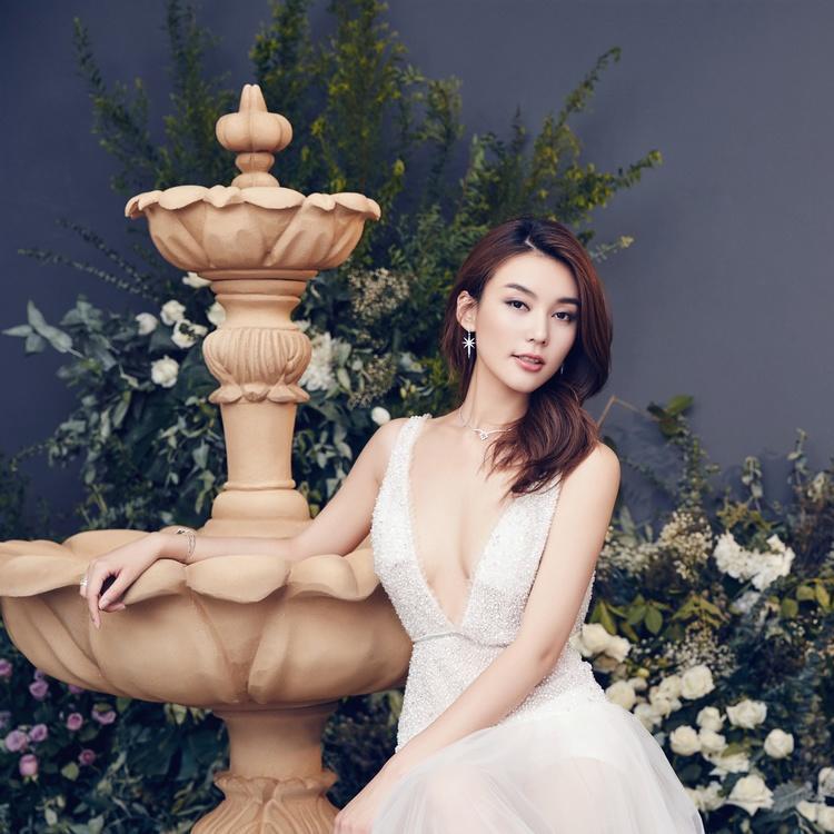 样片欣赏    韩式花墙系统