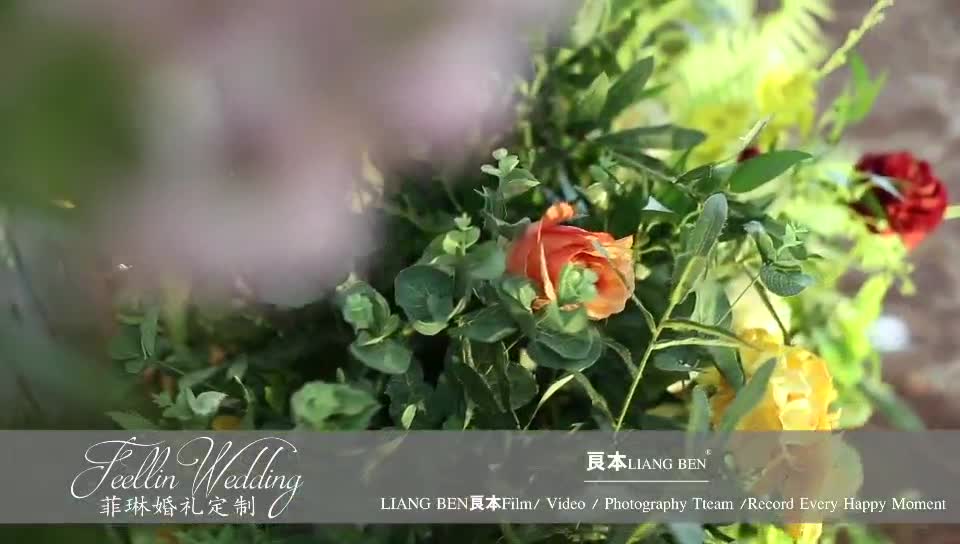 Wedding |夏日里森系婚礼