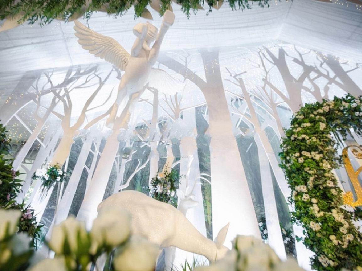 小清新唯美{}治愈系}婚礼