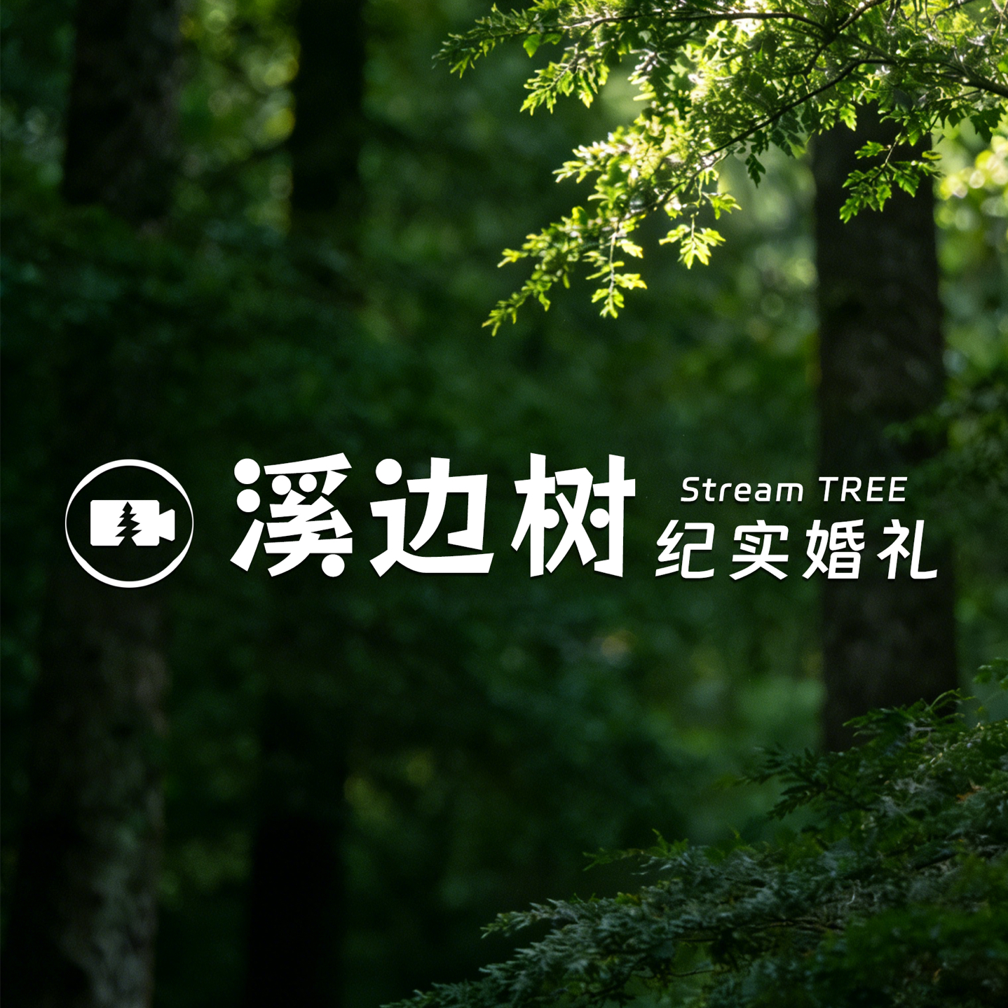 溪邊樹紀實婚禮