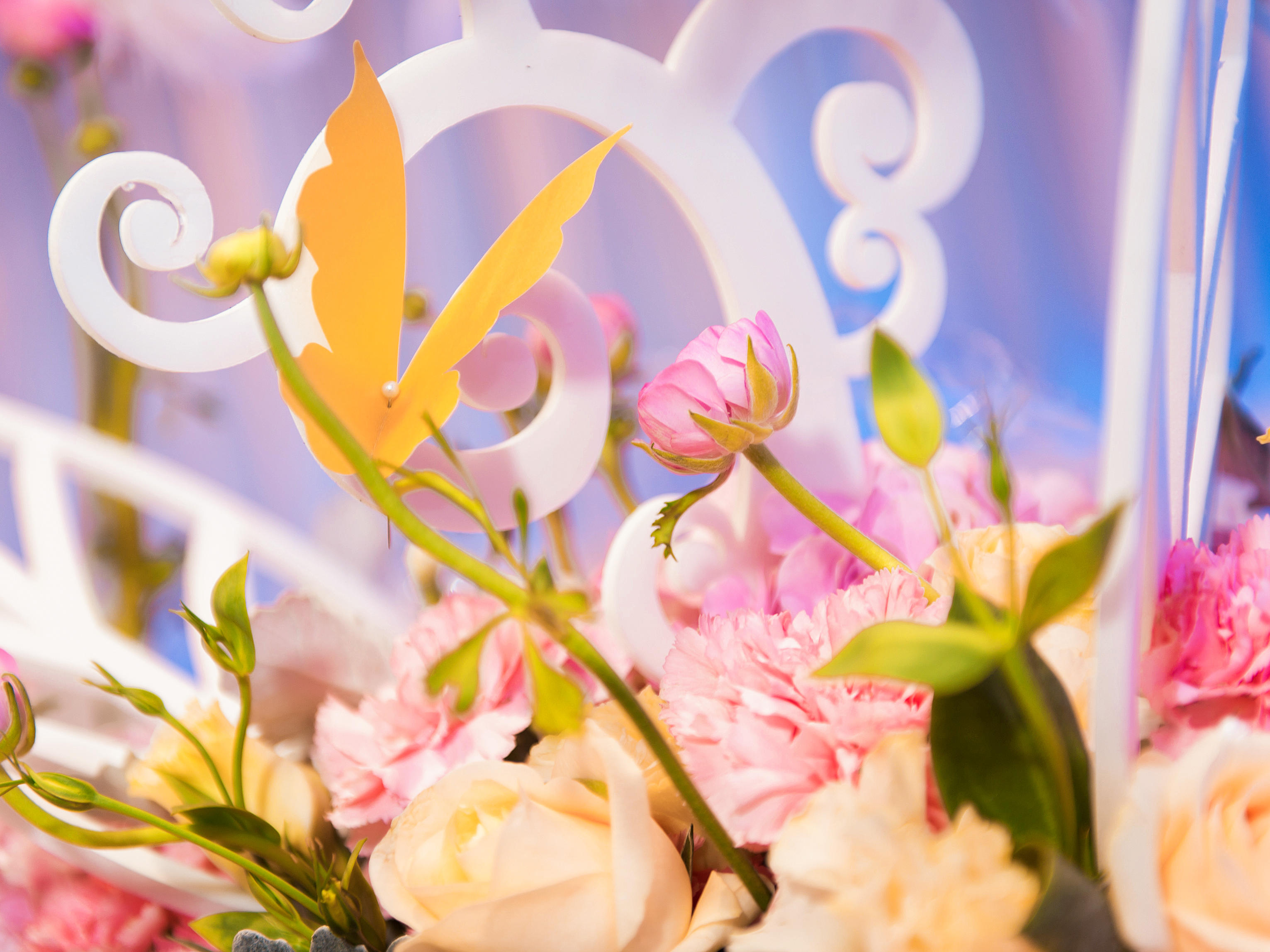 淡淡仙女系：浅蓝色系加粉色