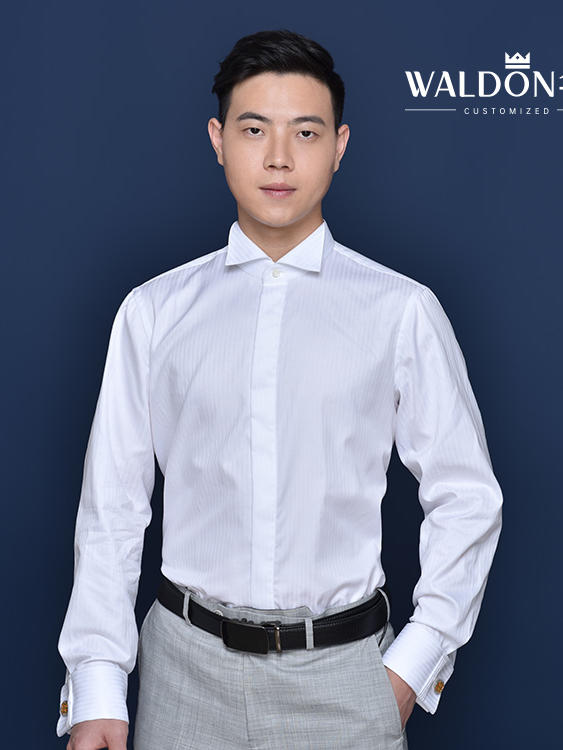 白色燕子领衬衫