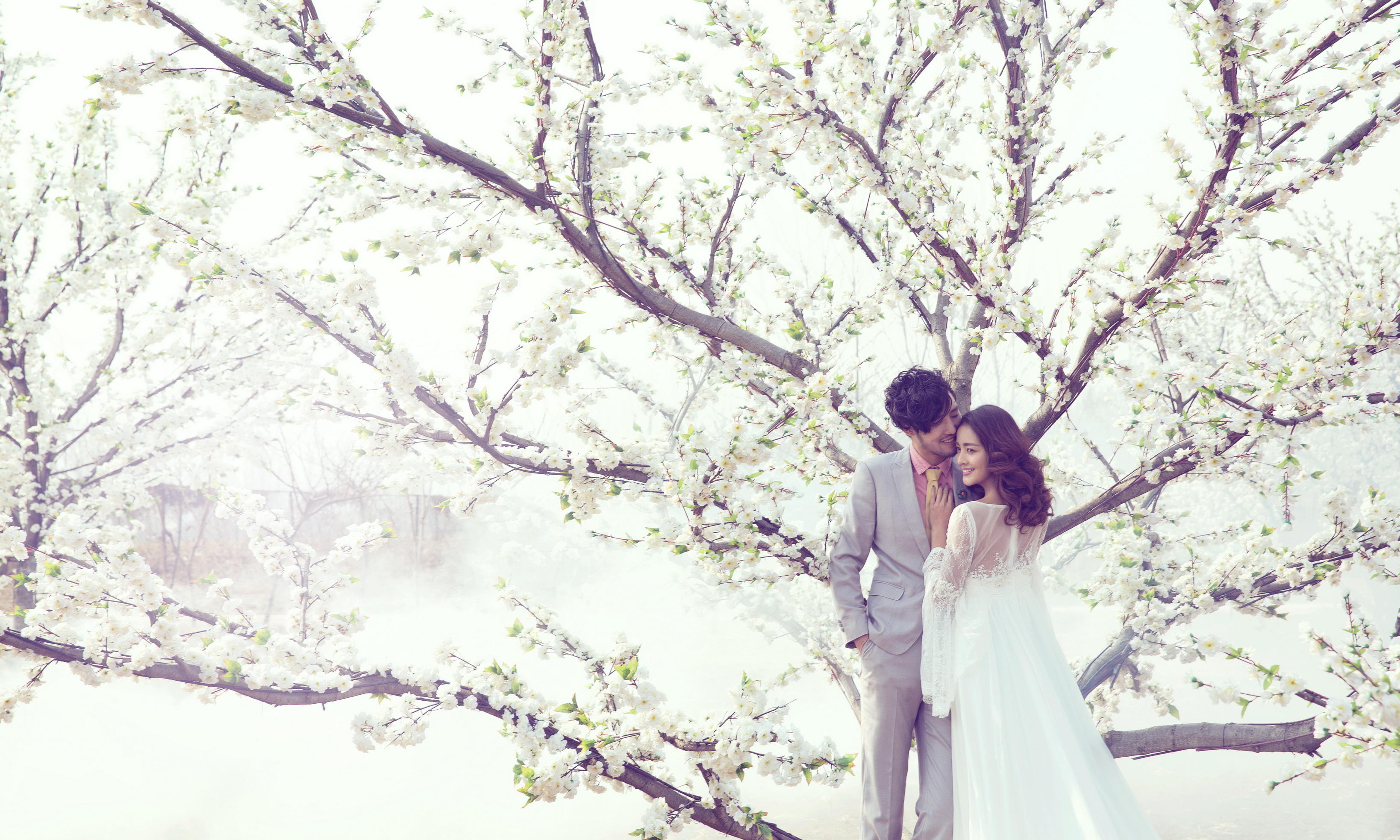 豪华游轮+布拉格小镇尊贵VIP专属套系