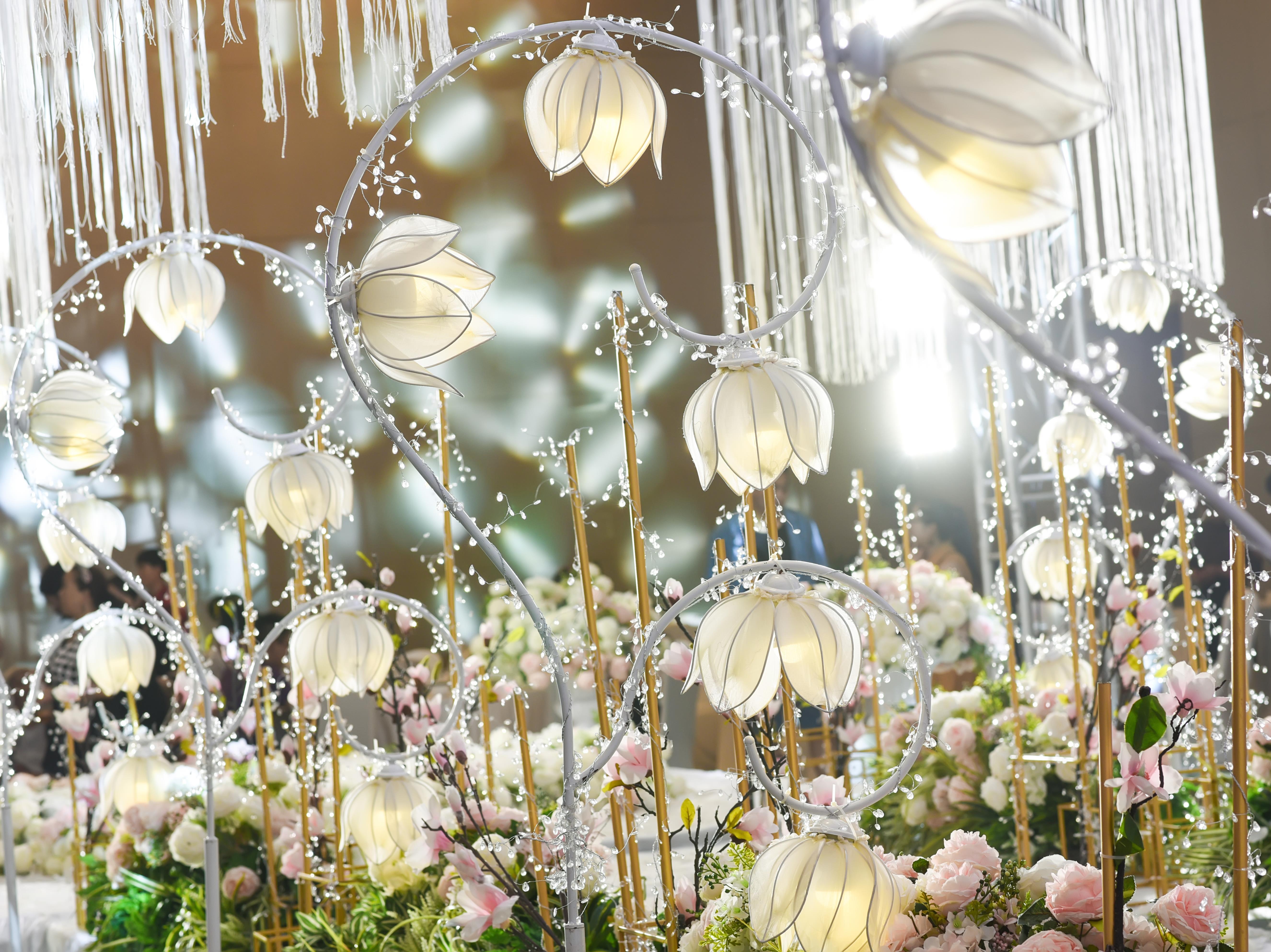 她他婚典 --【白素森系】