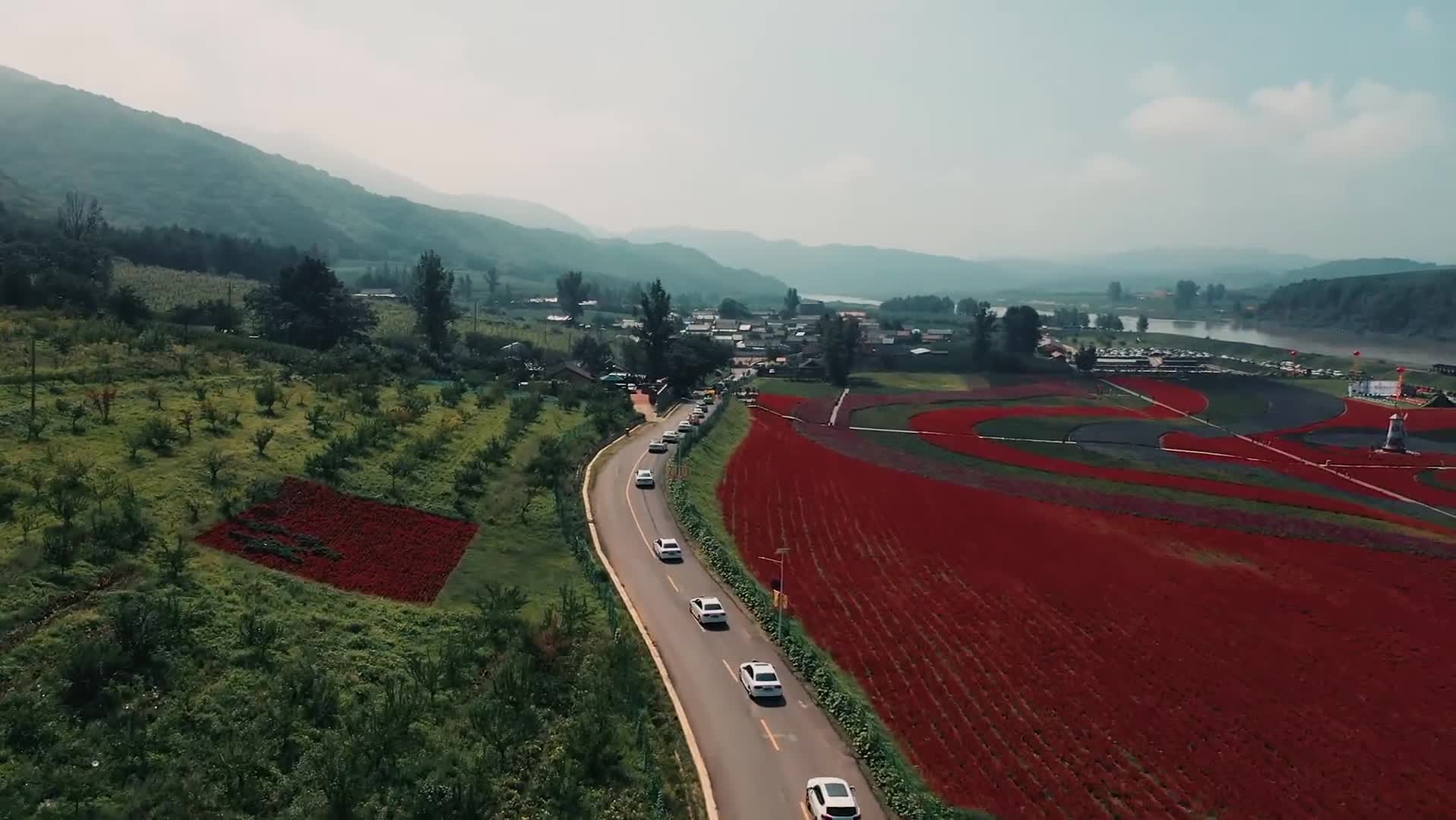 婚禮車隊(duì)航拍