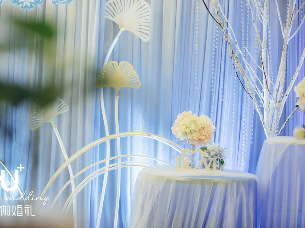 爆款-送司仪--小预算婚礼--《满天繁心》