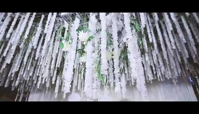 【白头吟】最初primary|惊鸿一瞥白绿色