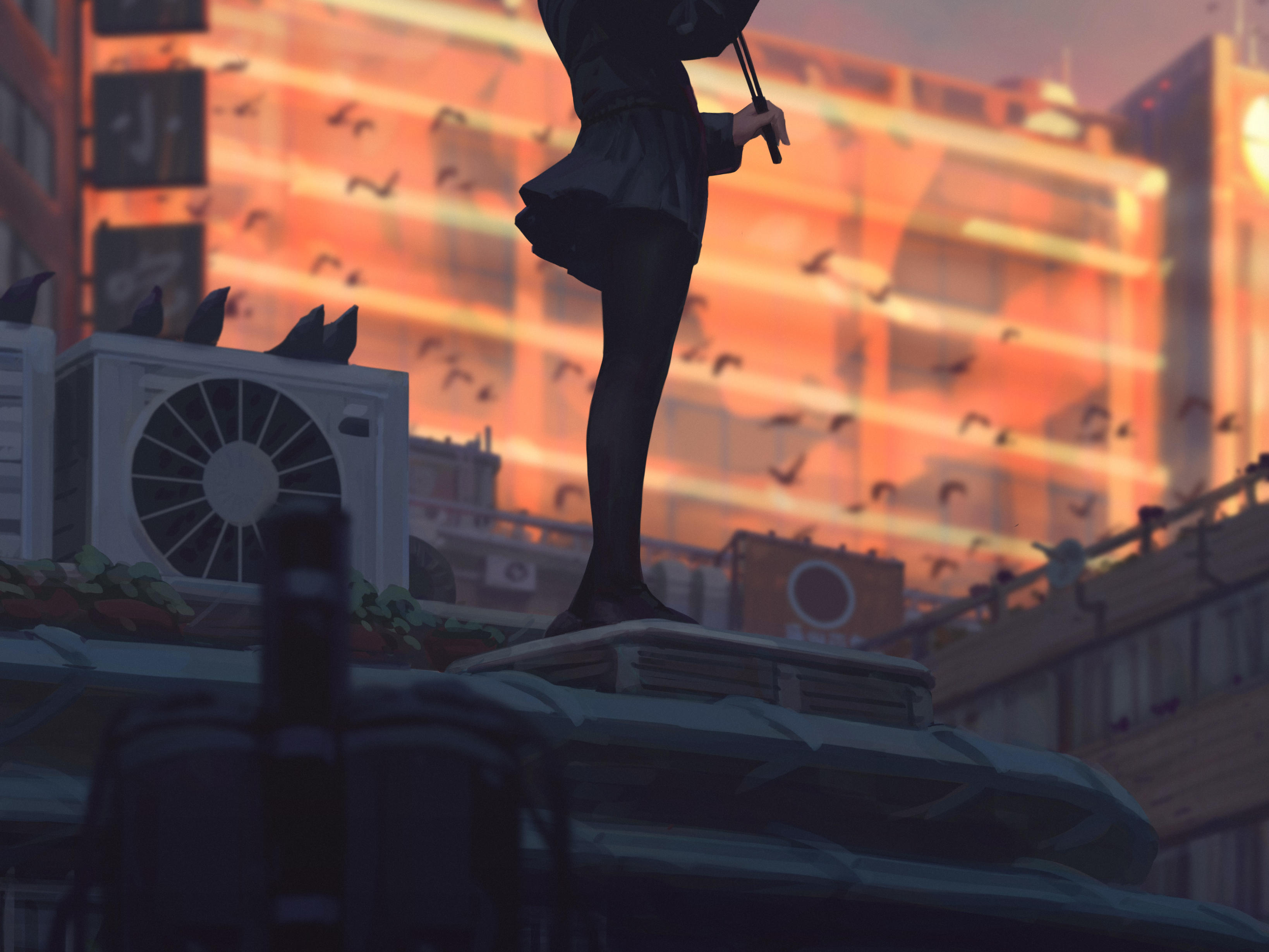 测试套餐~收入测试勿动 勿下单003