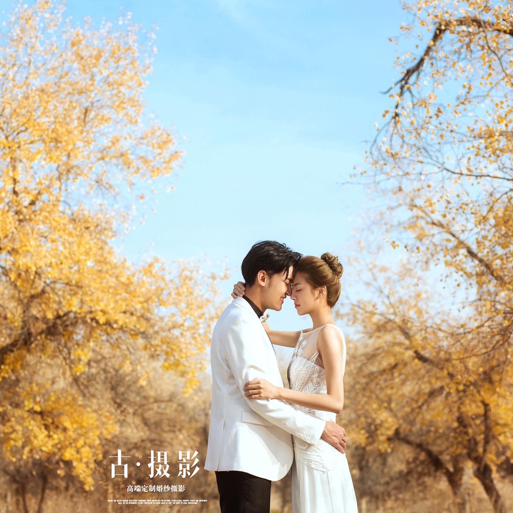 秋季必拍|胡杨林|纪实|旅拍