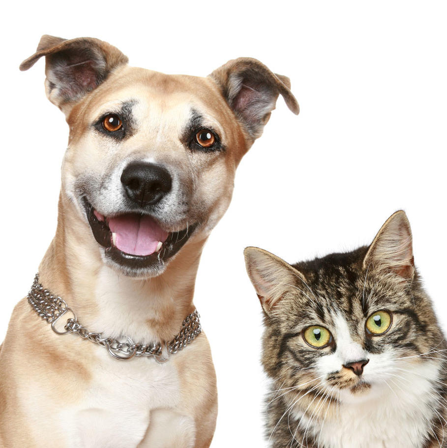 null测试宁珂商家4405-2