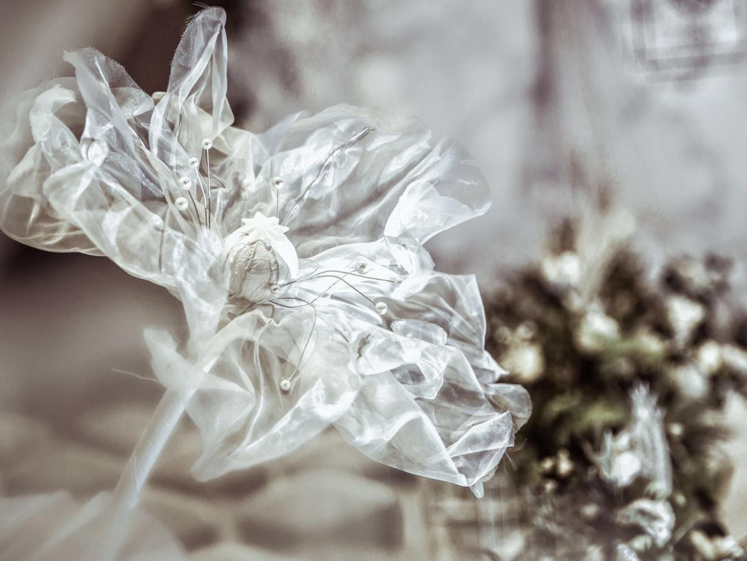 【LUCKY TO MEET】经典室内森系白色